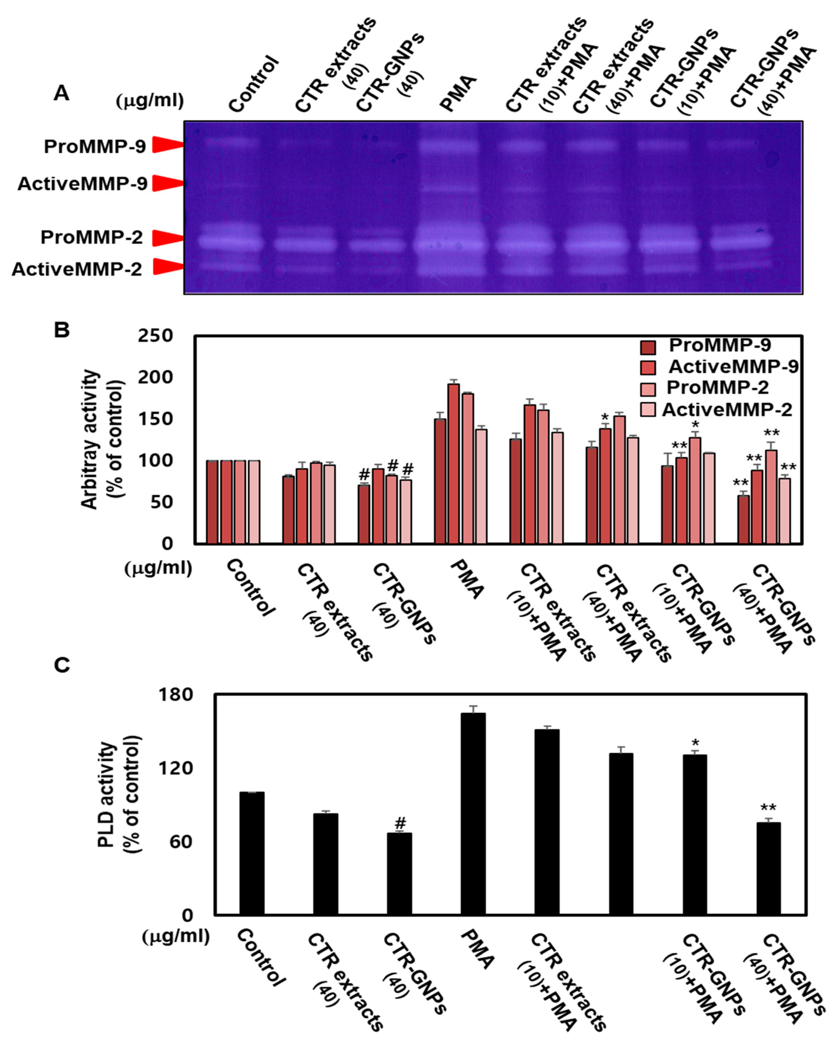Ijms 21 01282 g004 Ijms 21 01282 g004