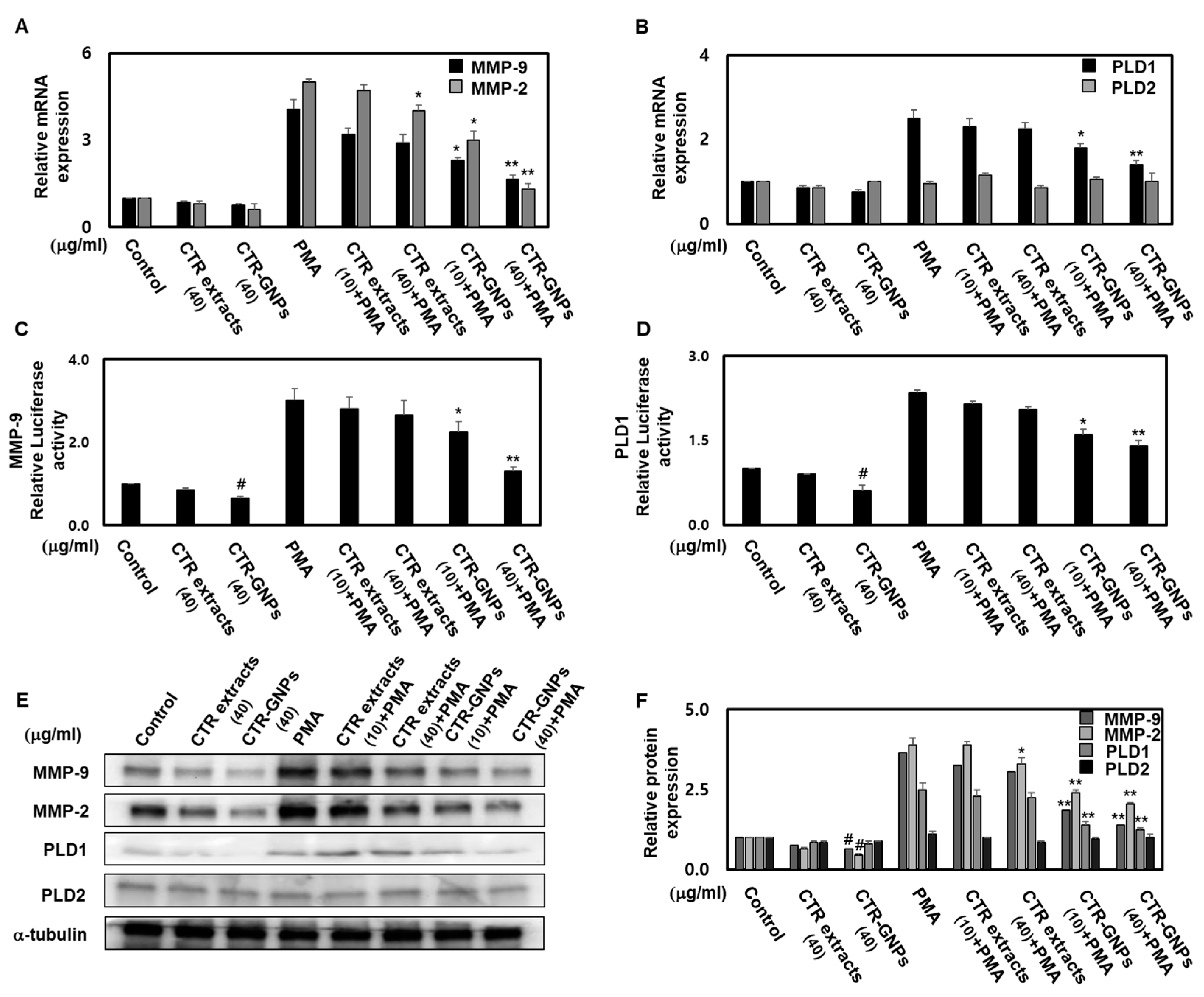 Ijms 21 01282 g005 Ijms 21 01282 g005