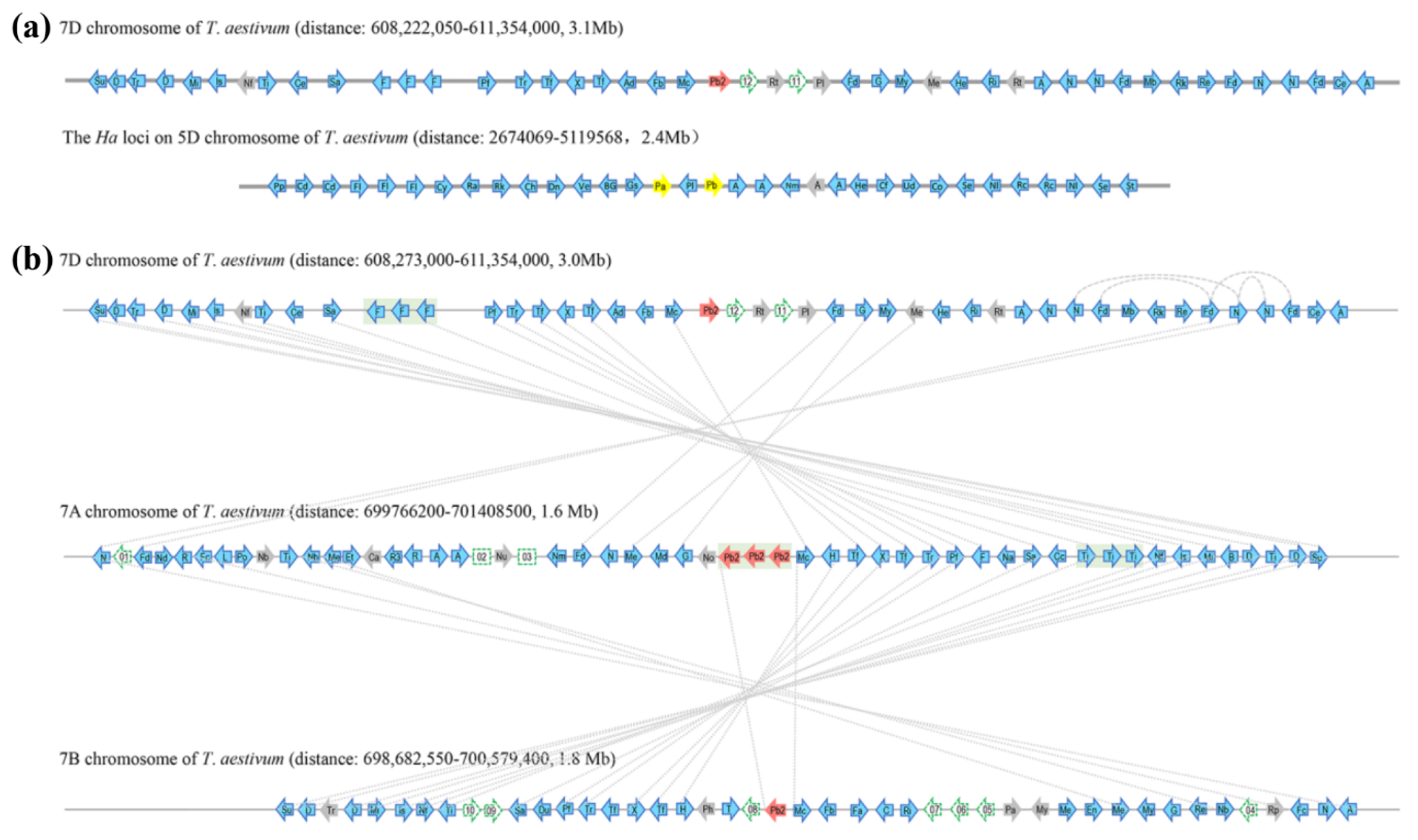 Ijms 21 01304 g001 Ijms 21 01304 g001