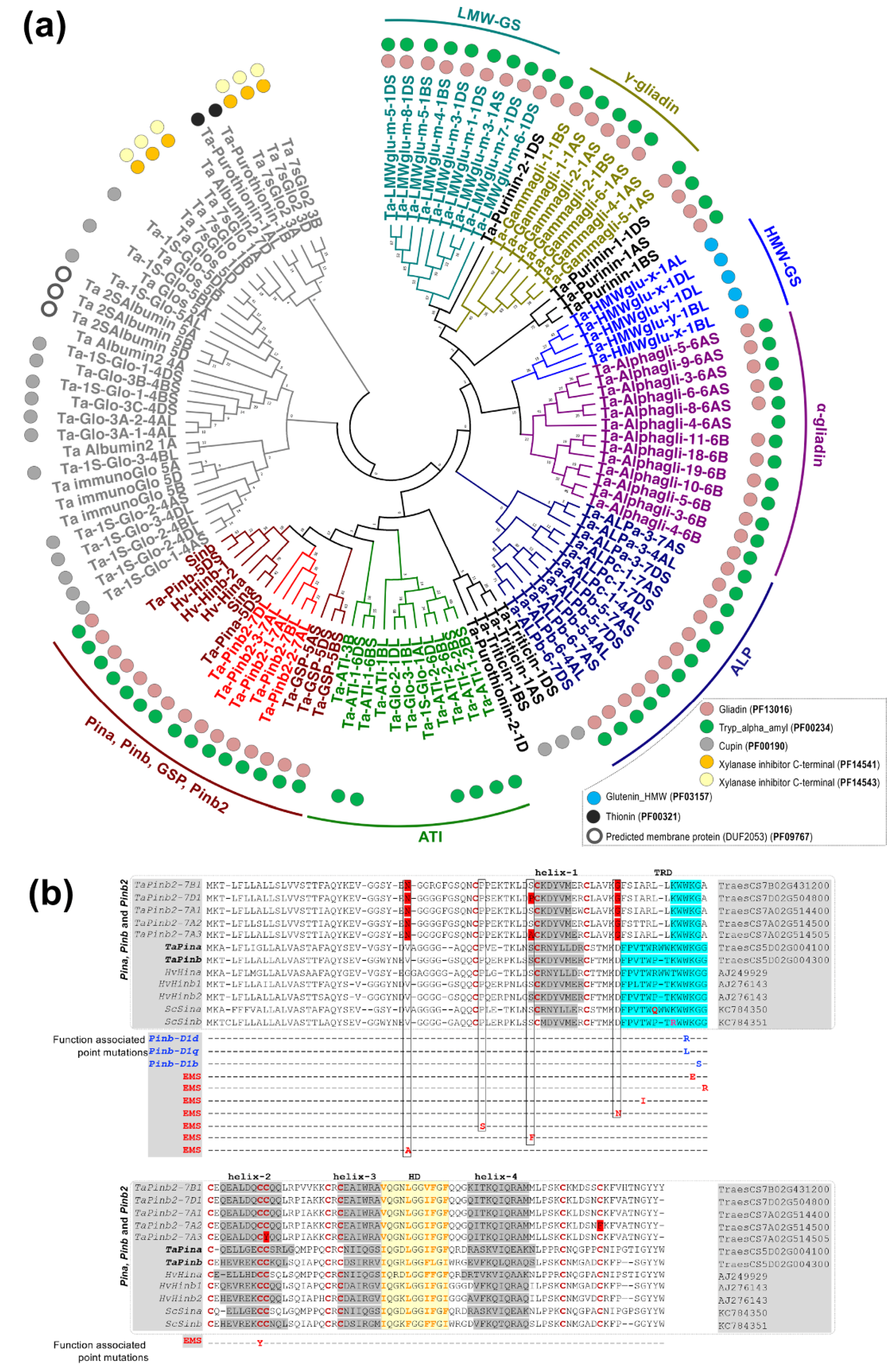 Ijms 21 01304 g002 Ijms 21 01304 g002
