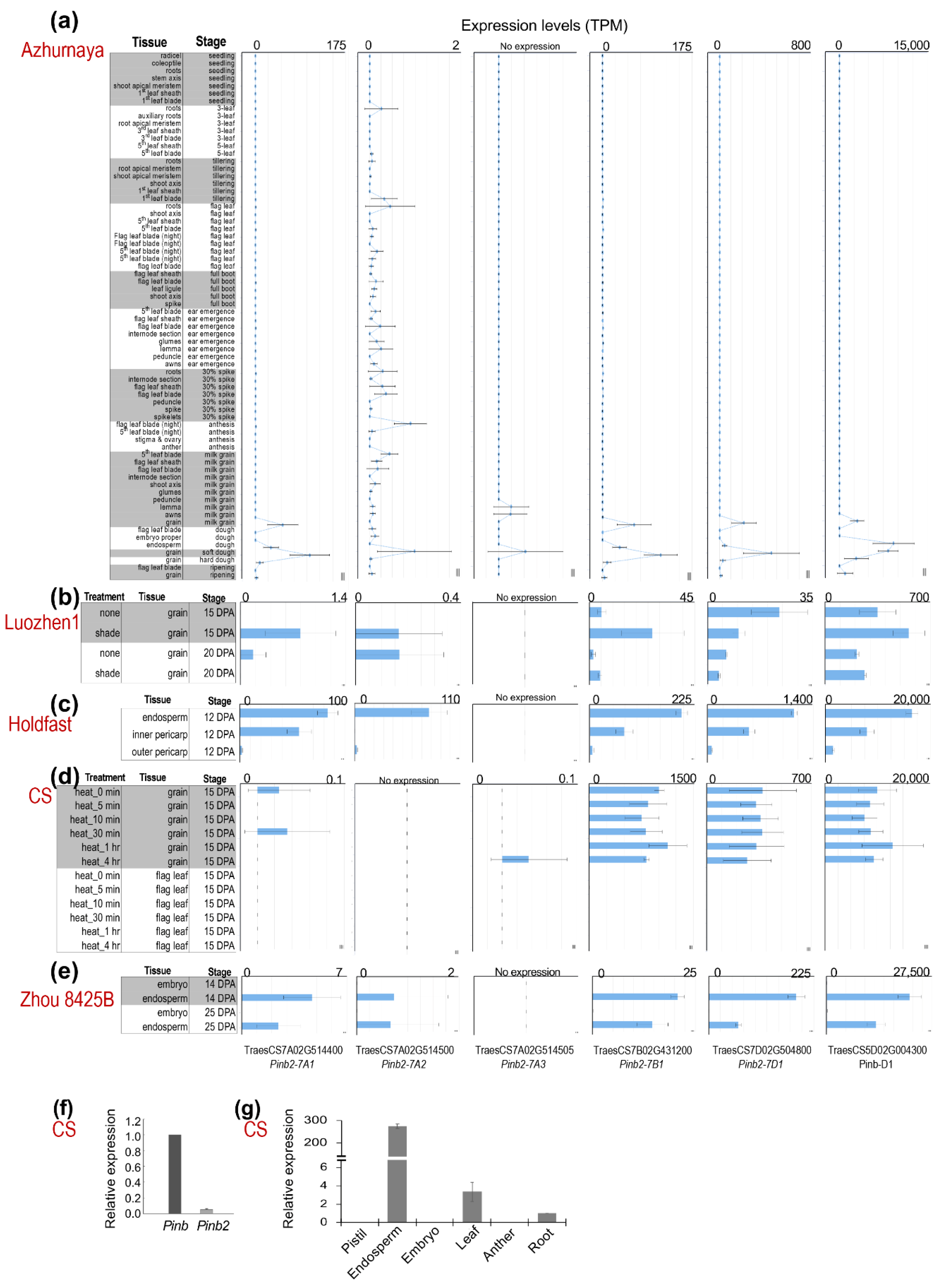 Ijms 21 01304 g003 Ijms 21 01304 g003