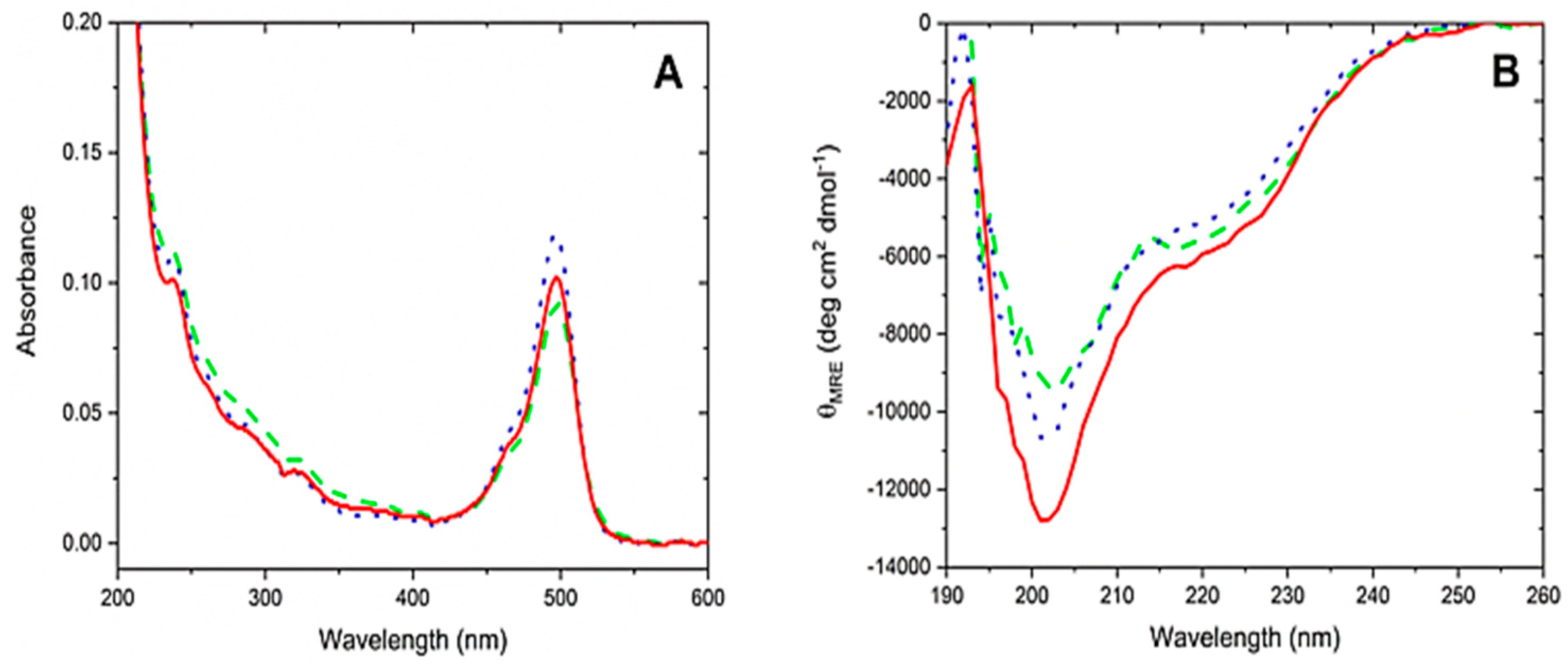 Ijms 21 01343 g002 Ijms 21 01343 g002
