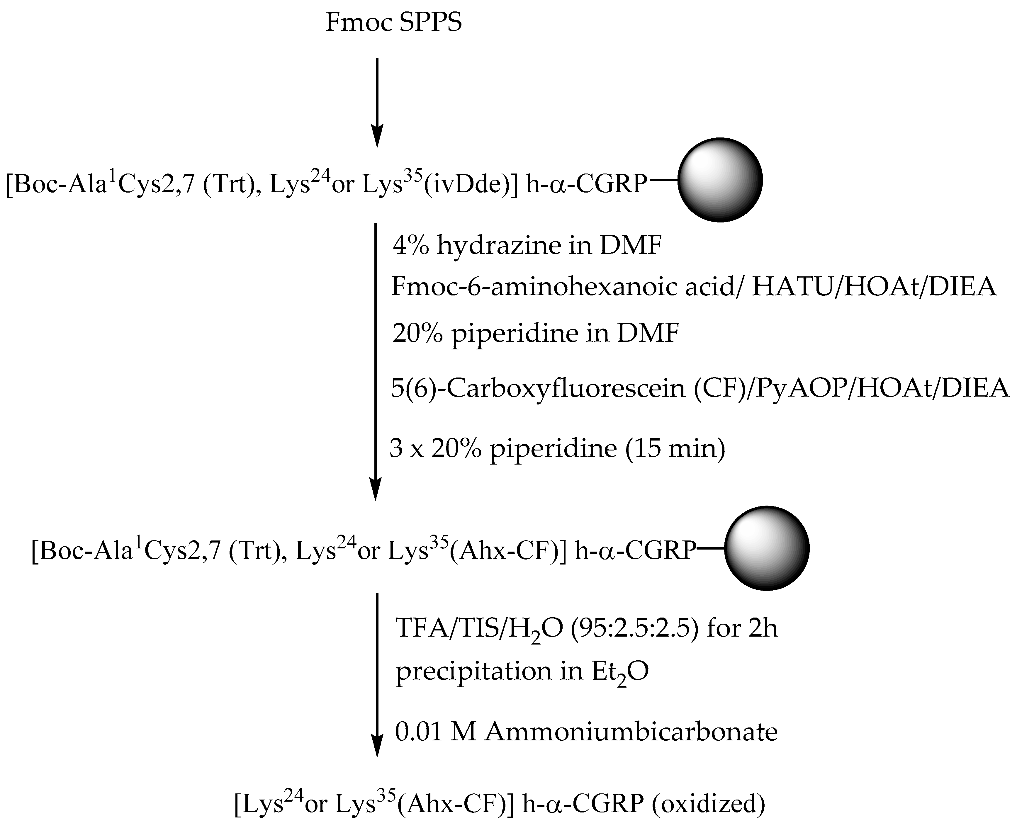 Ijms 21 01343 sch001 Ijms 21 01343 sch001