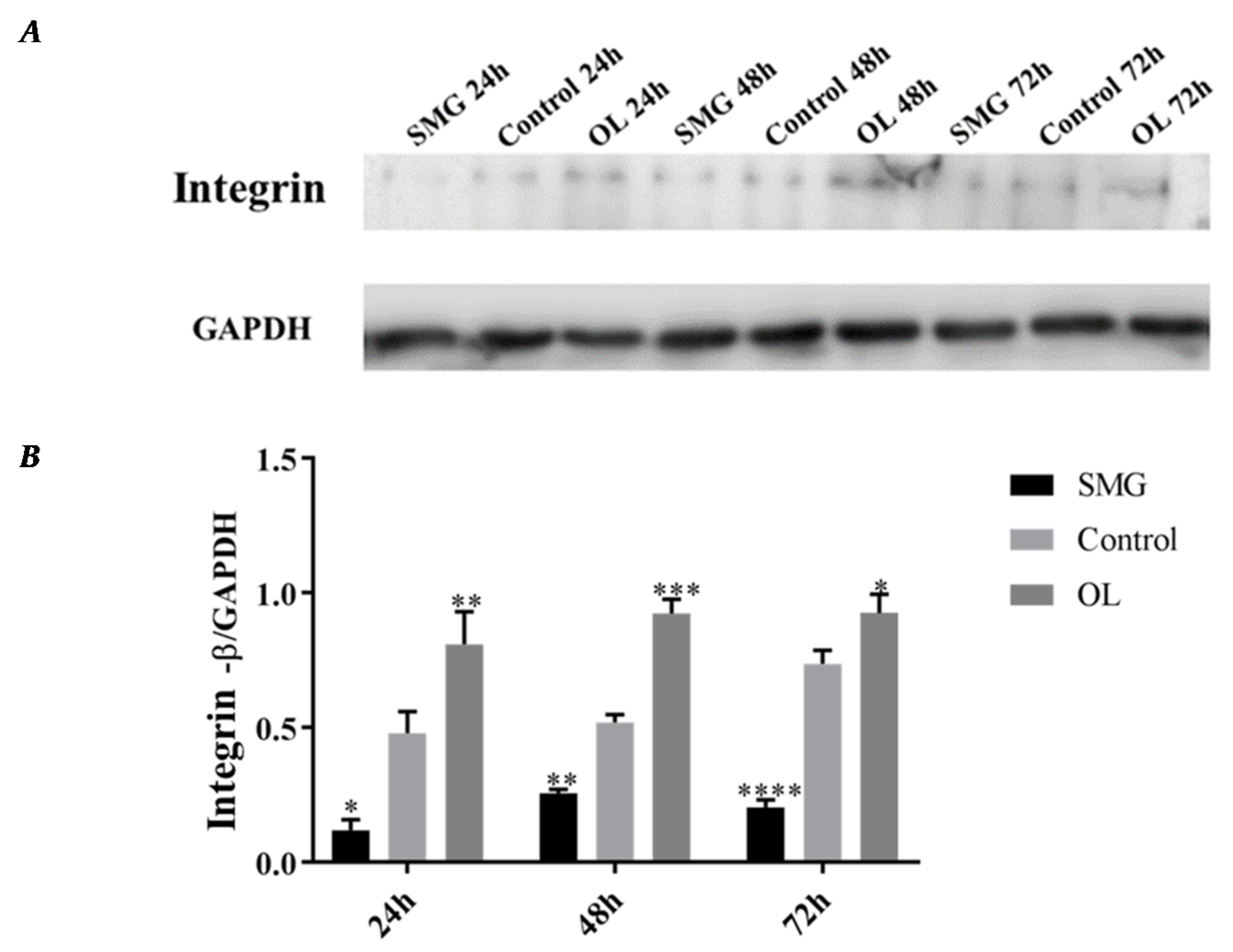 Ijms 21 01349 g009 Ijms 21 01349 g009