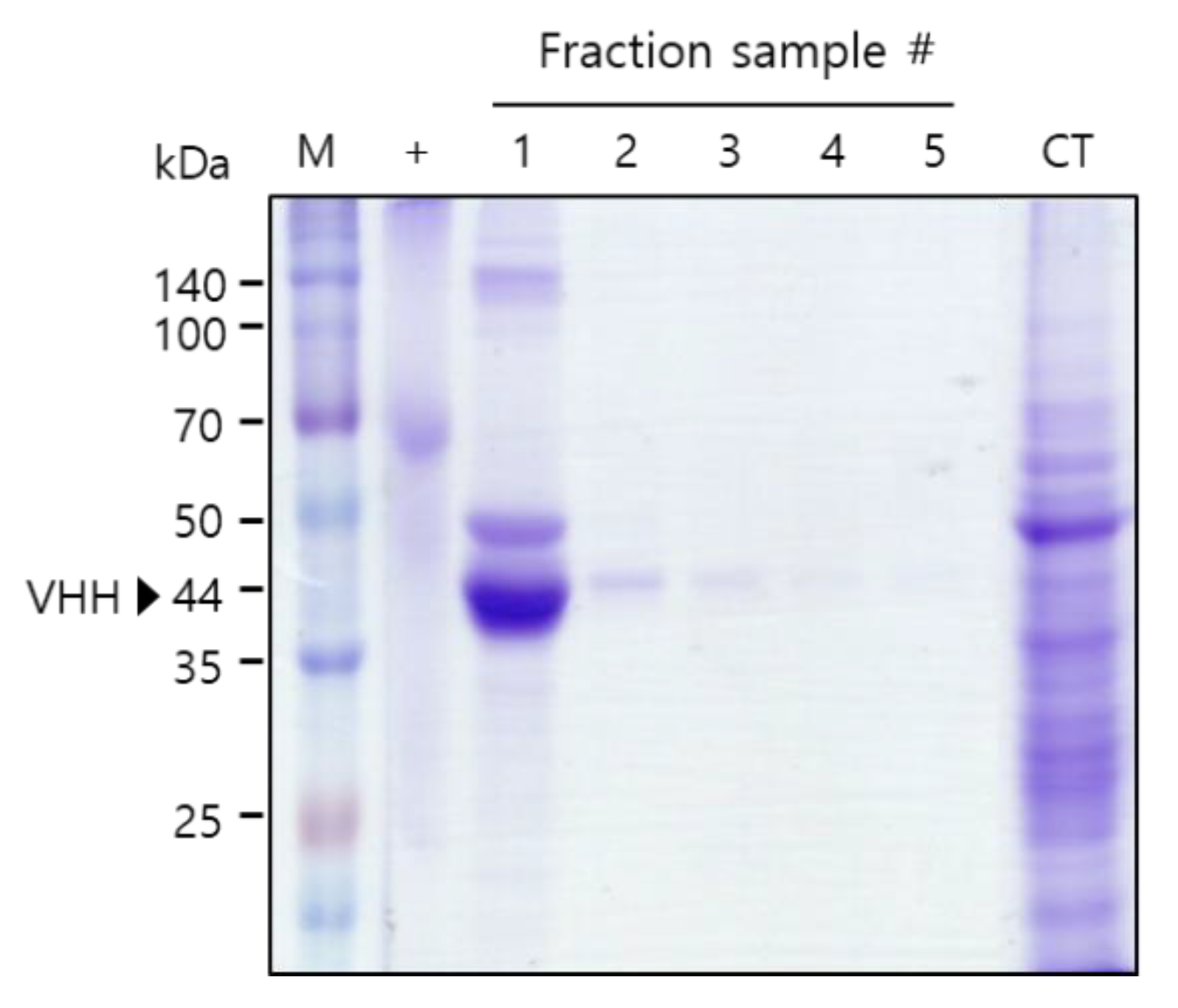 Ijms 21 01354 g002 Ijms 21 01354 g002