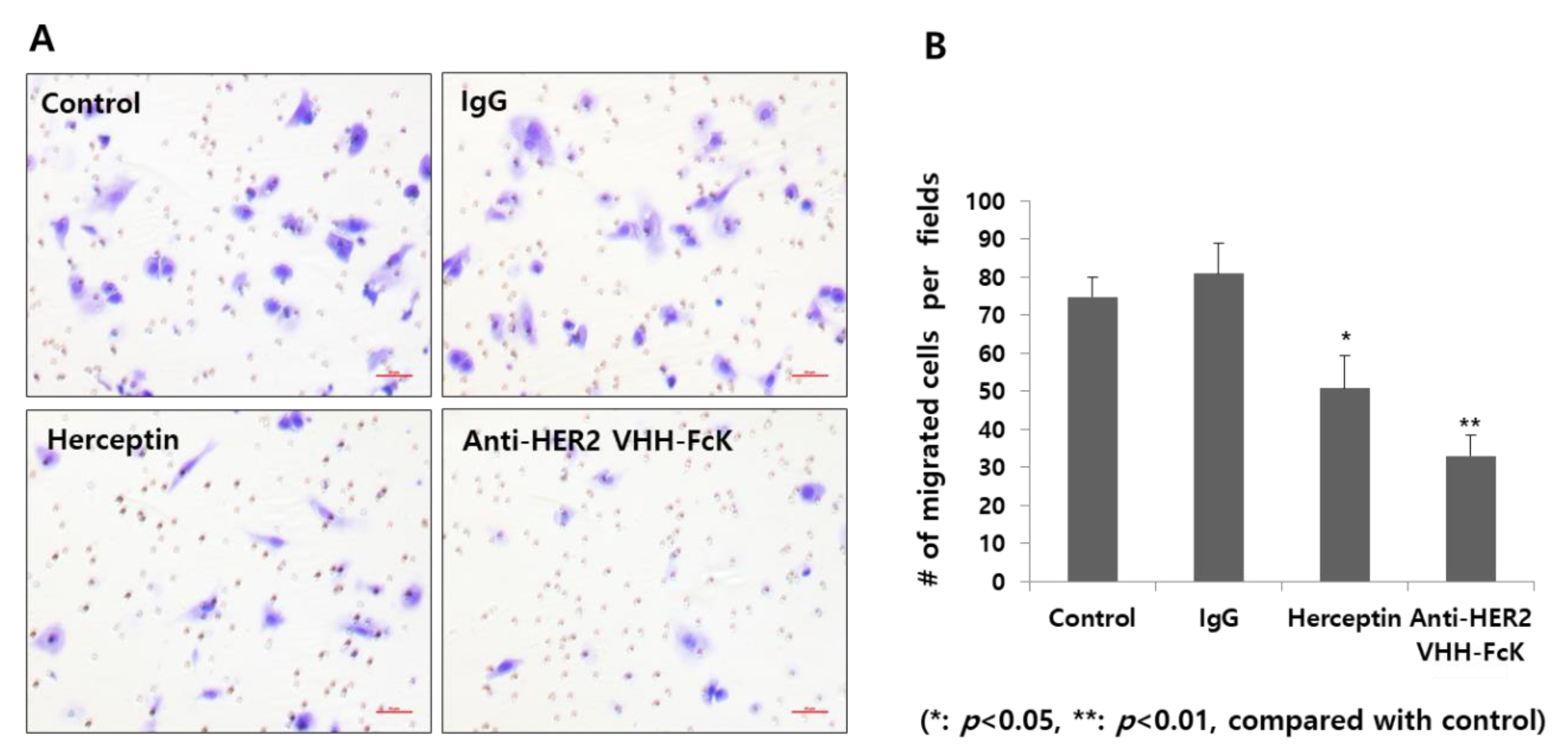Ijms 21 01354 g005 Ijms 21 01354 g005
