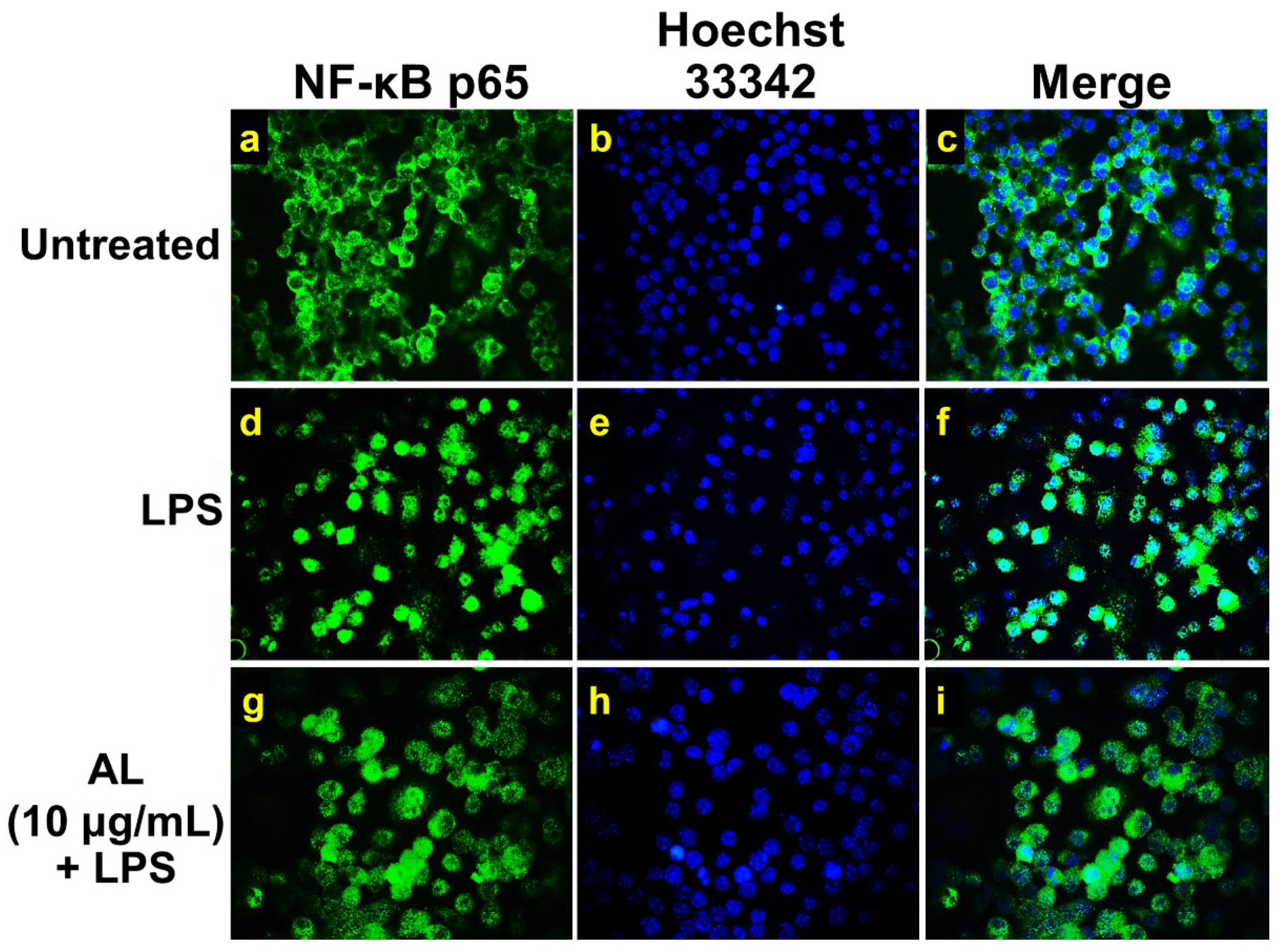 Ijms 21 01355 g004 Ijms 21 01355 g004