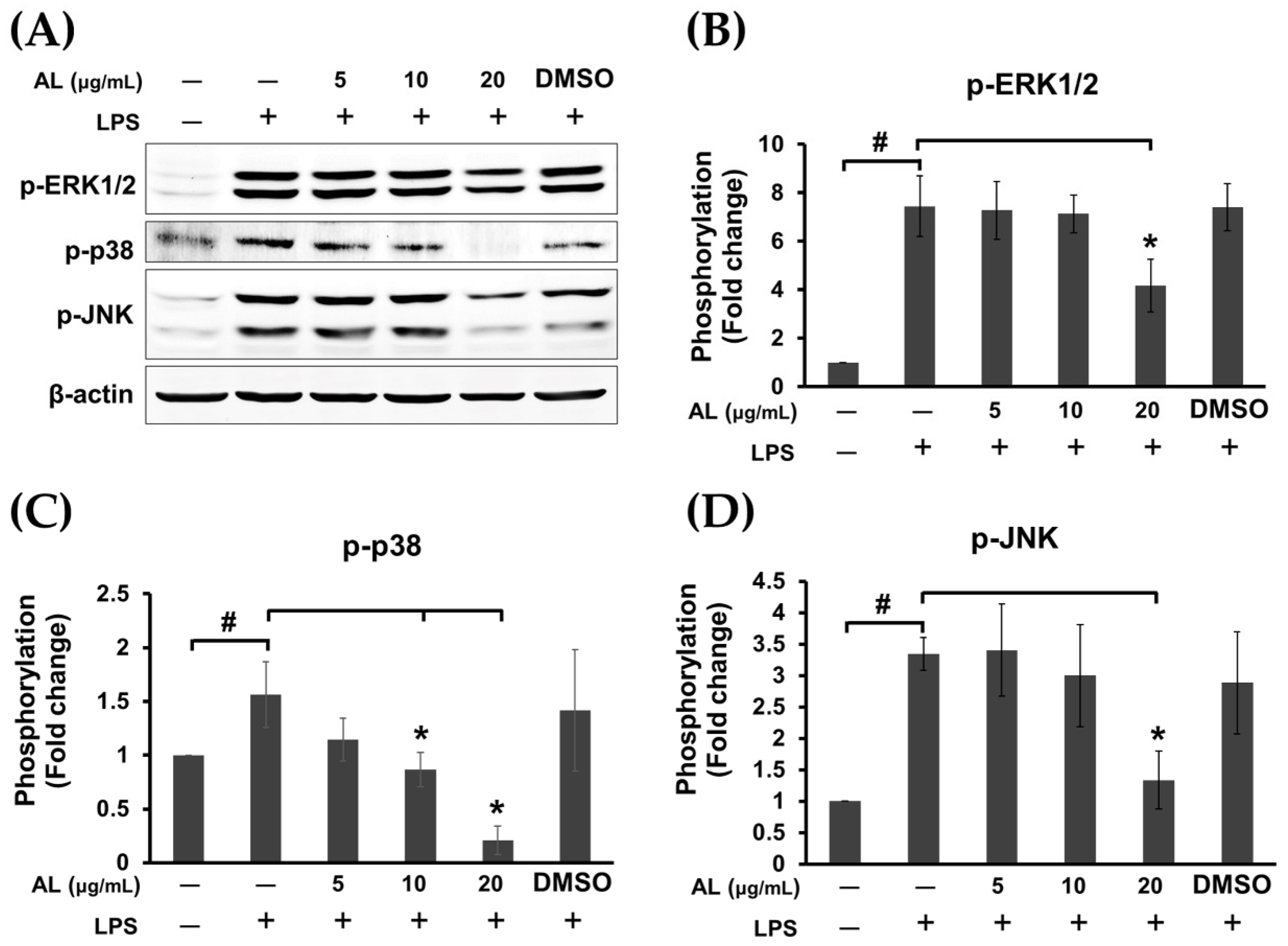 Ijms 21 01355 g006 Ijms 21 01355 g006