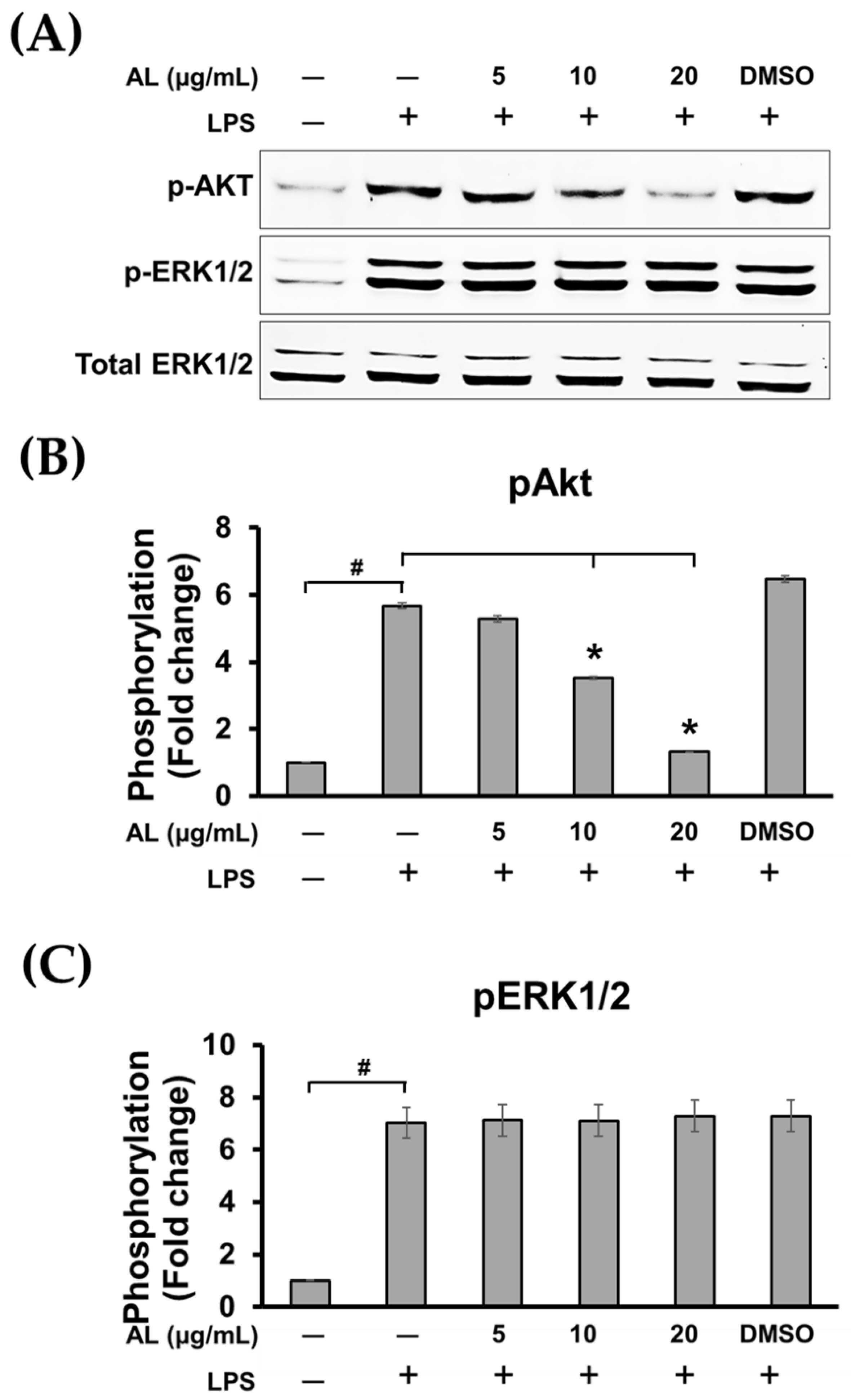Ijms 21 01355 g007 Ijms 21 01355 g007