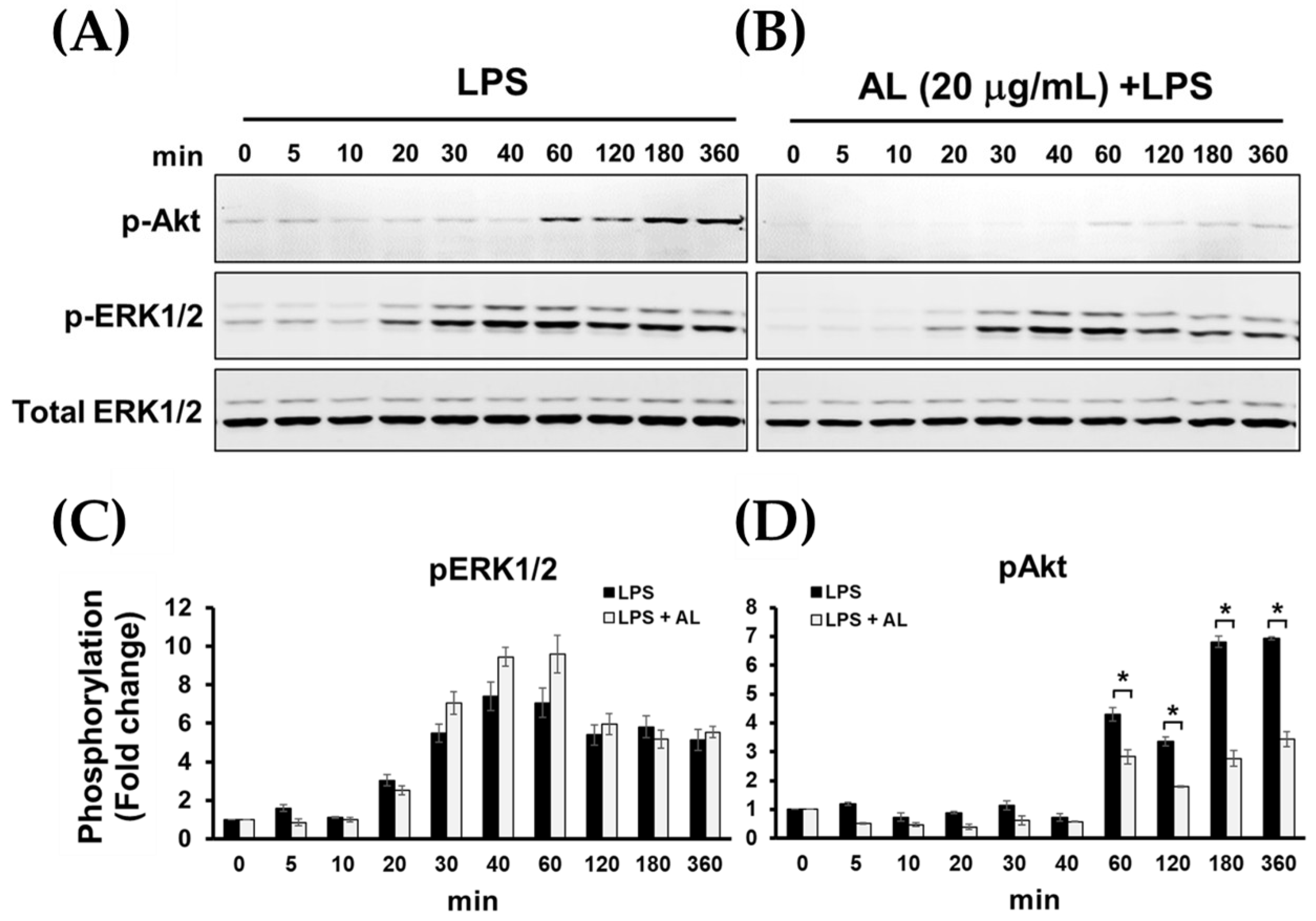 Ijms 21 01355 g009 Ijms 21 01355 g009
