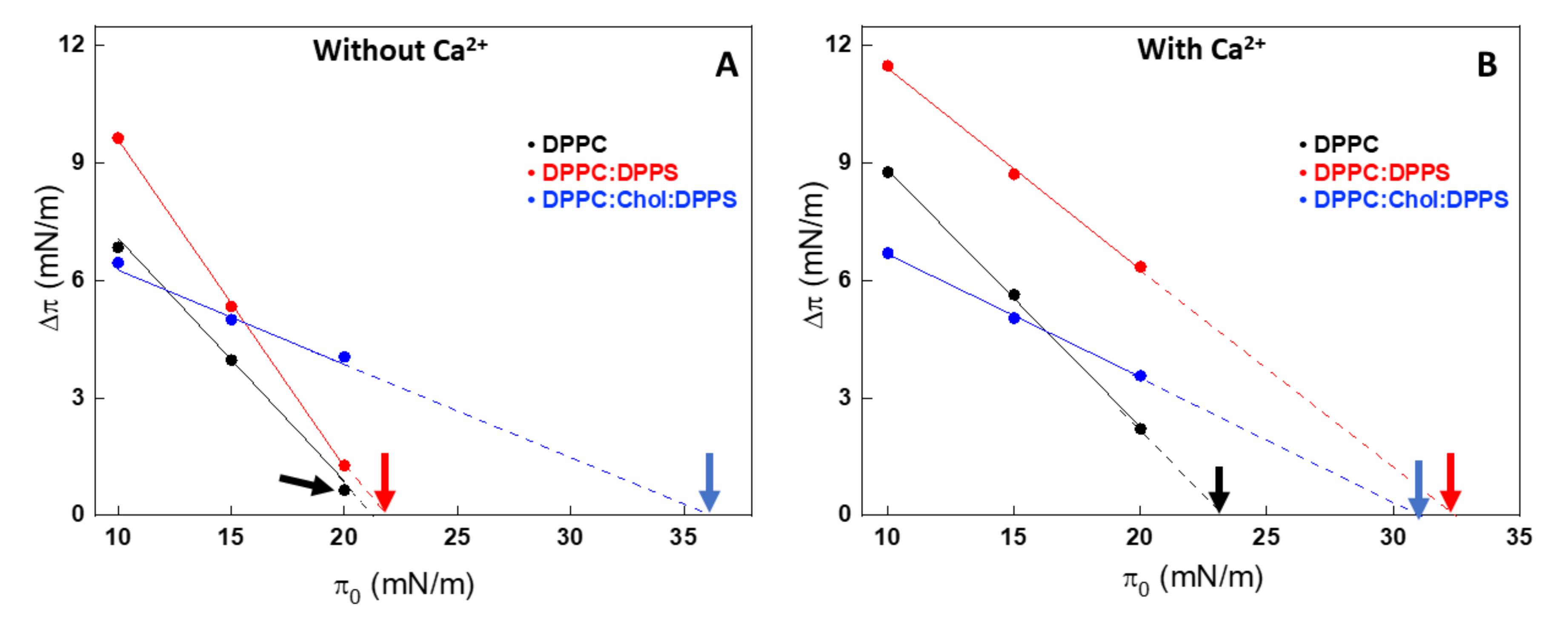 Ijms 21 01367 g002 Ijms 21 01367 g002