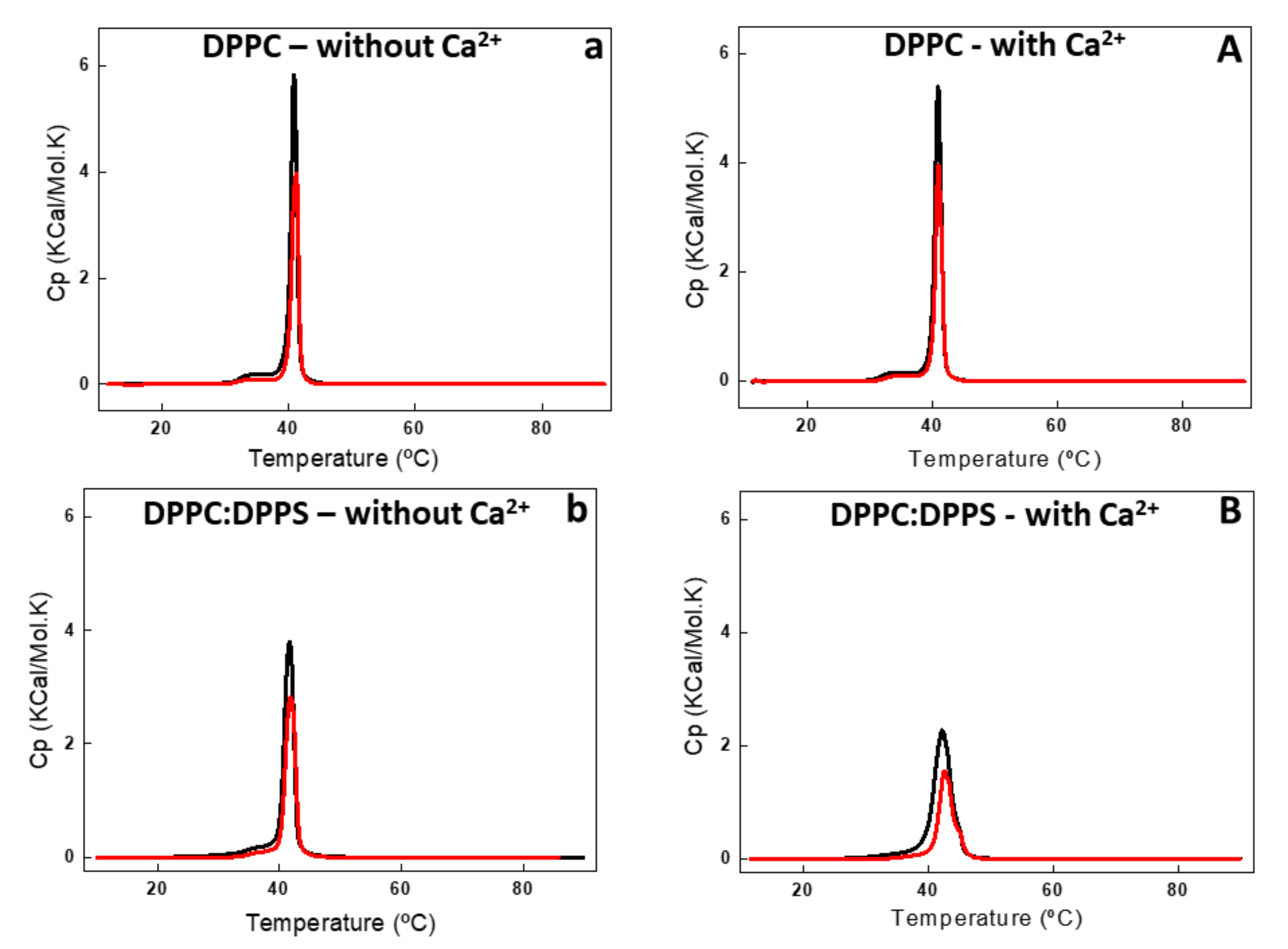 Ijms 21 01367 g003 Ijms 21 01367 g003