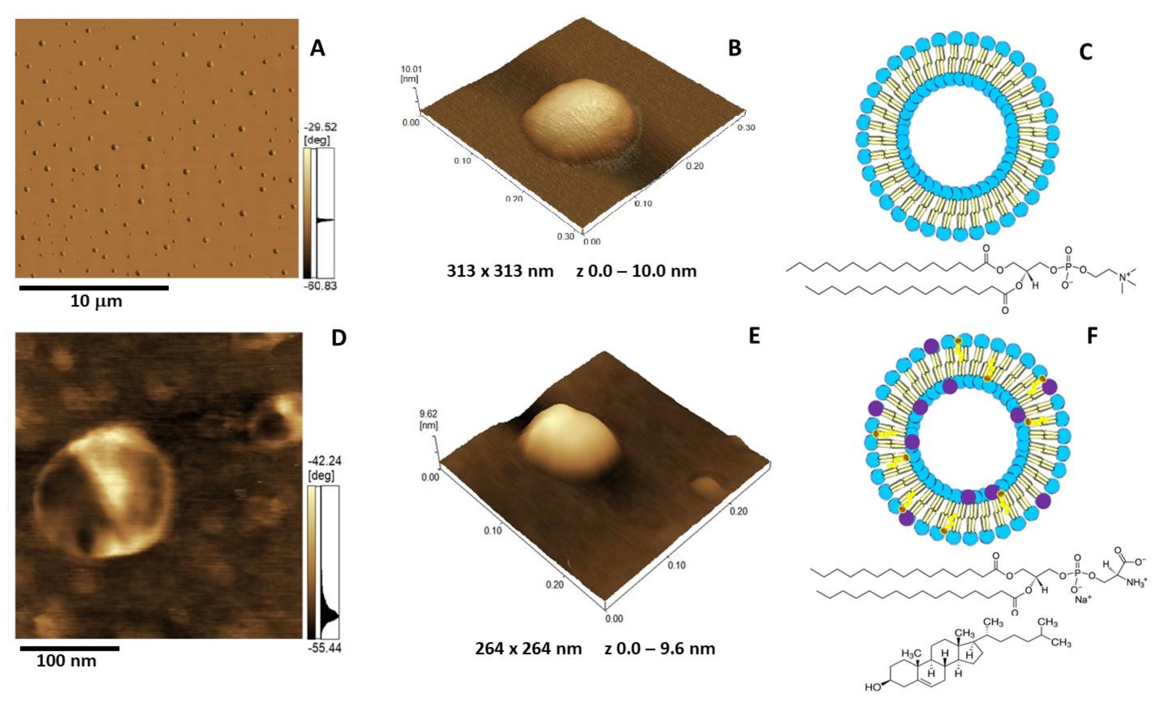 Ijms 21 01367 g005 Ijms 21 01367 g005