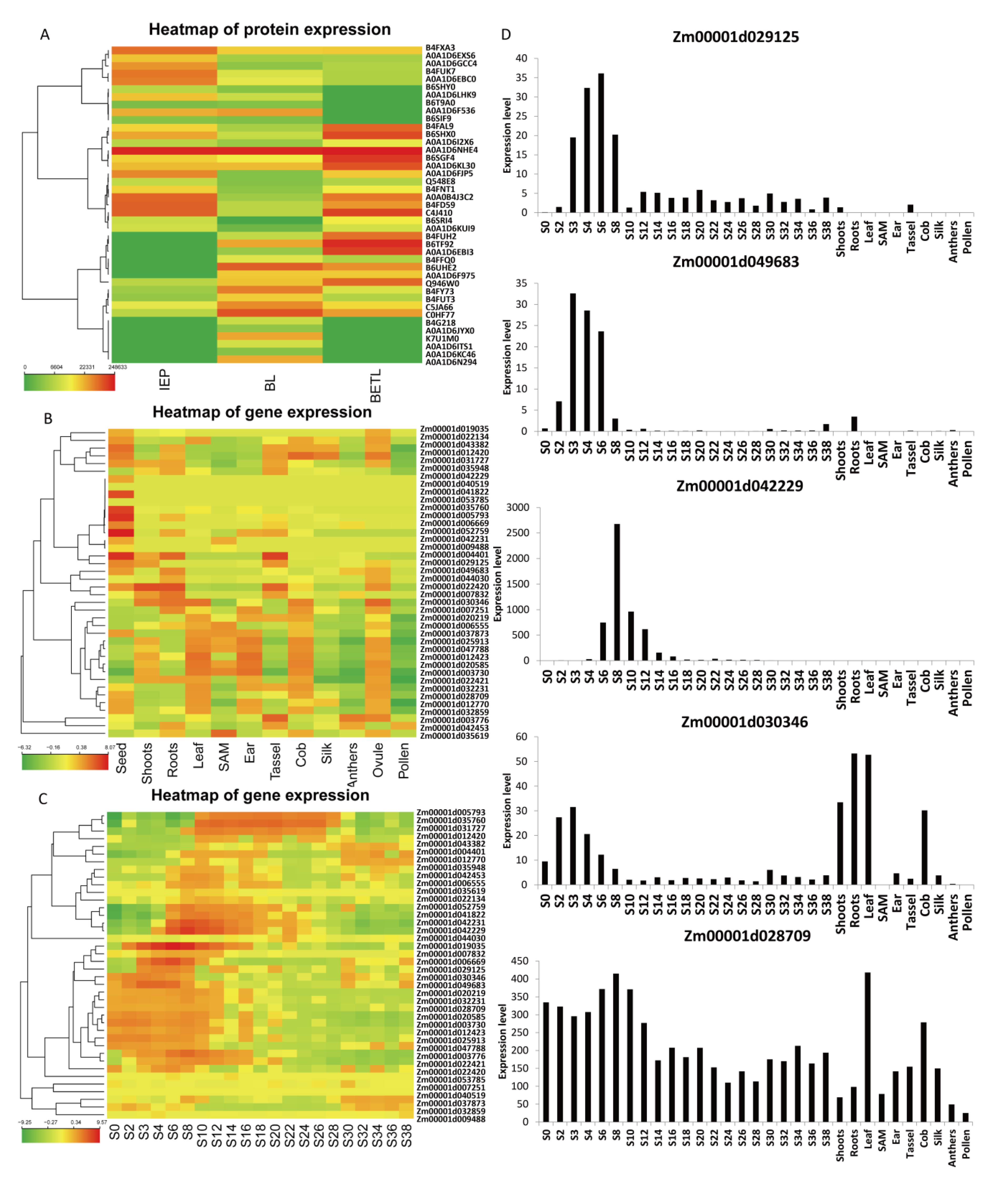 Ijms 21 01369 g004 Ijms 21 01369 g004