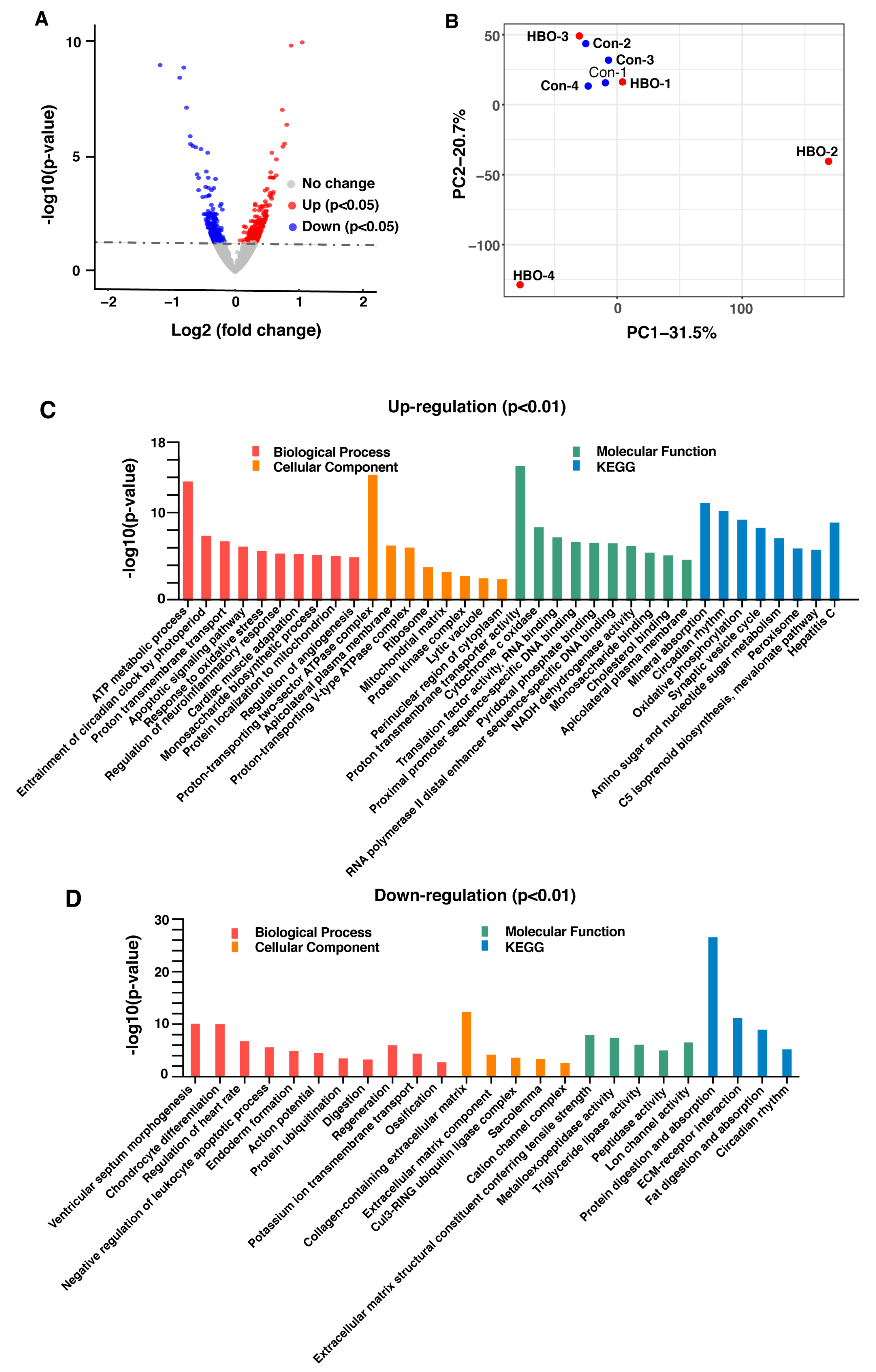 Ijms 21 01371 g002 Ijms 21 01371 g002