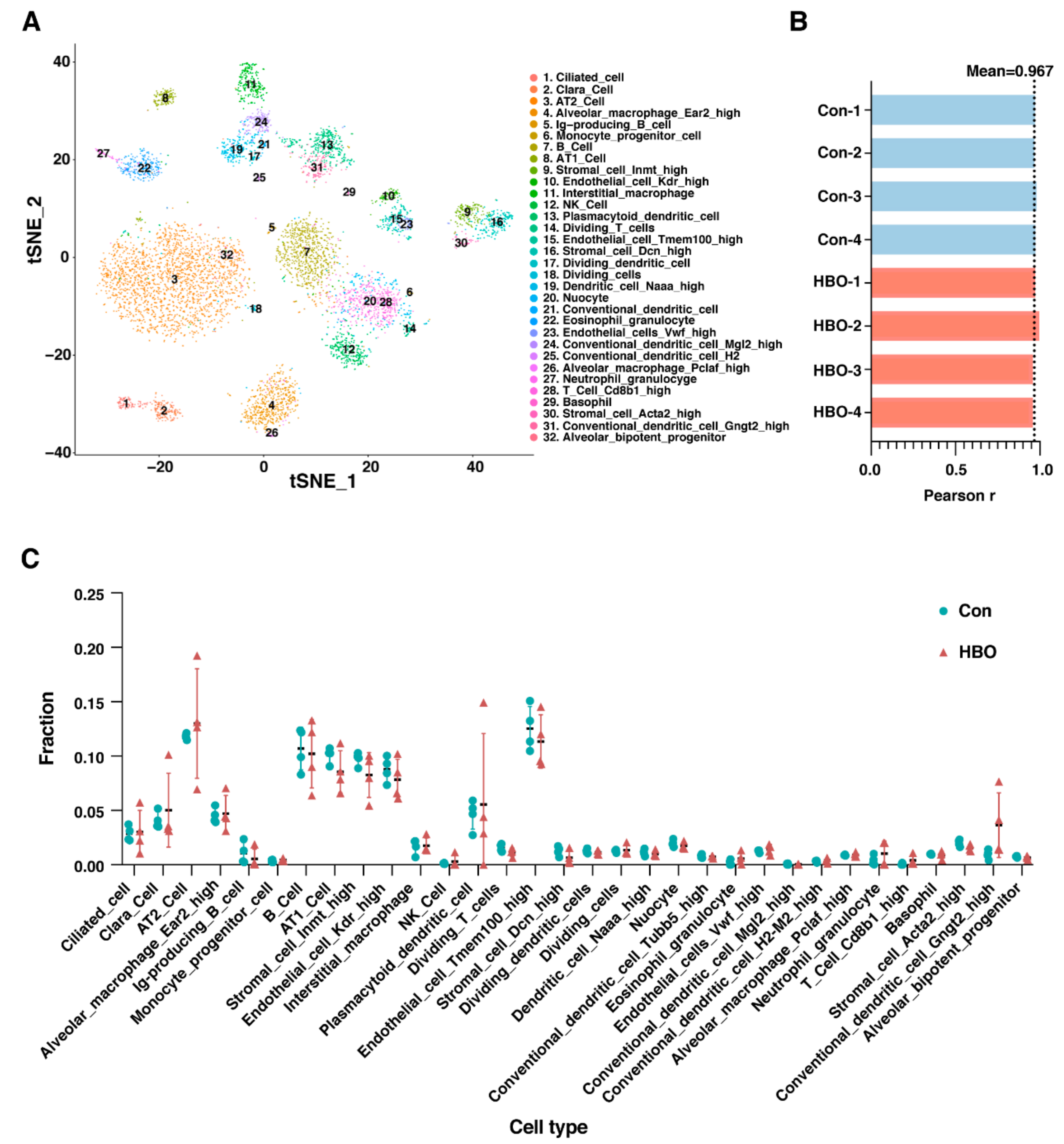 Ijms 21 01371 g003 Ijms 21 01371 g003