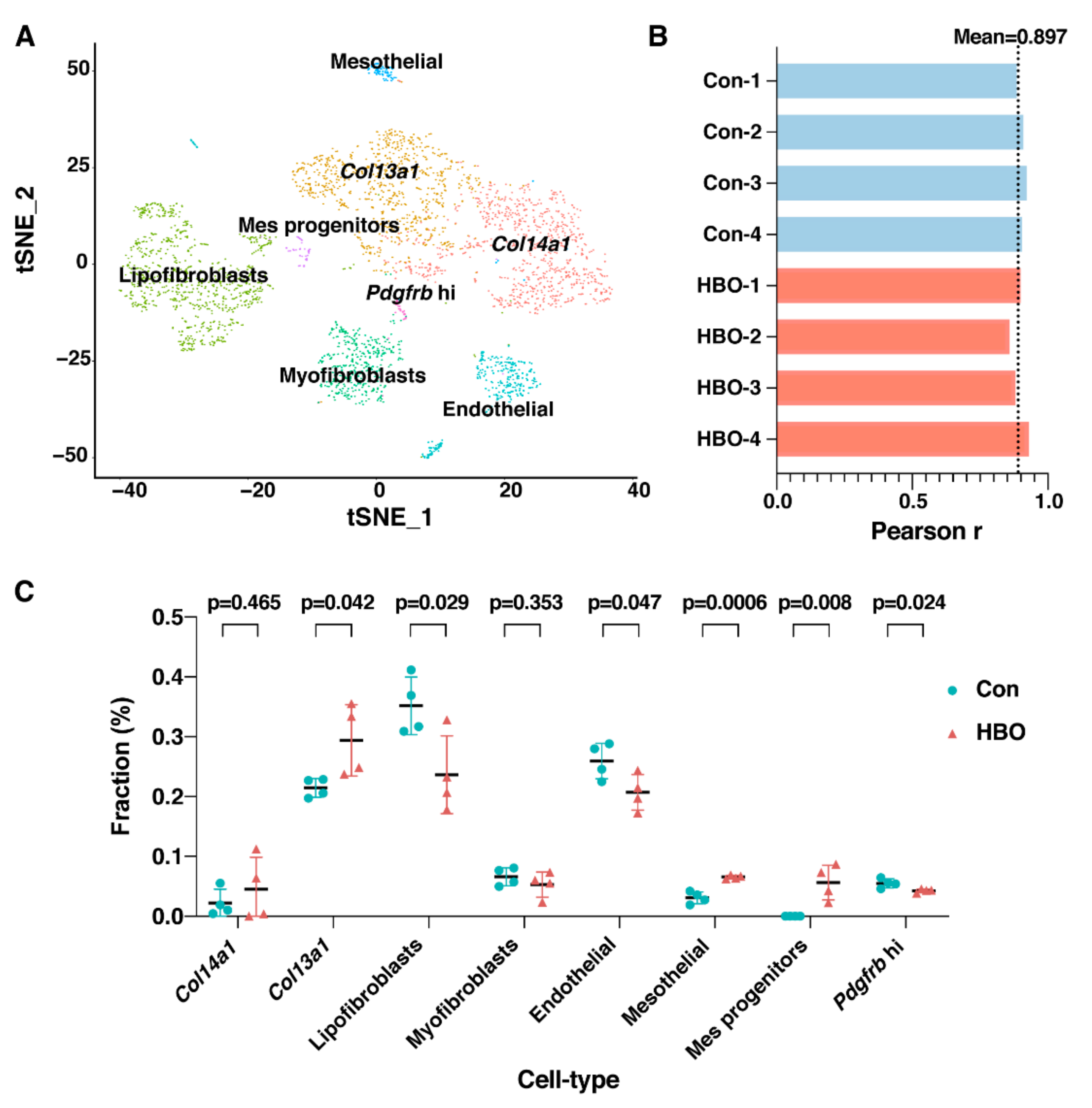 Ijms 21 01371 g004 Ijms 21 01371 g004