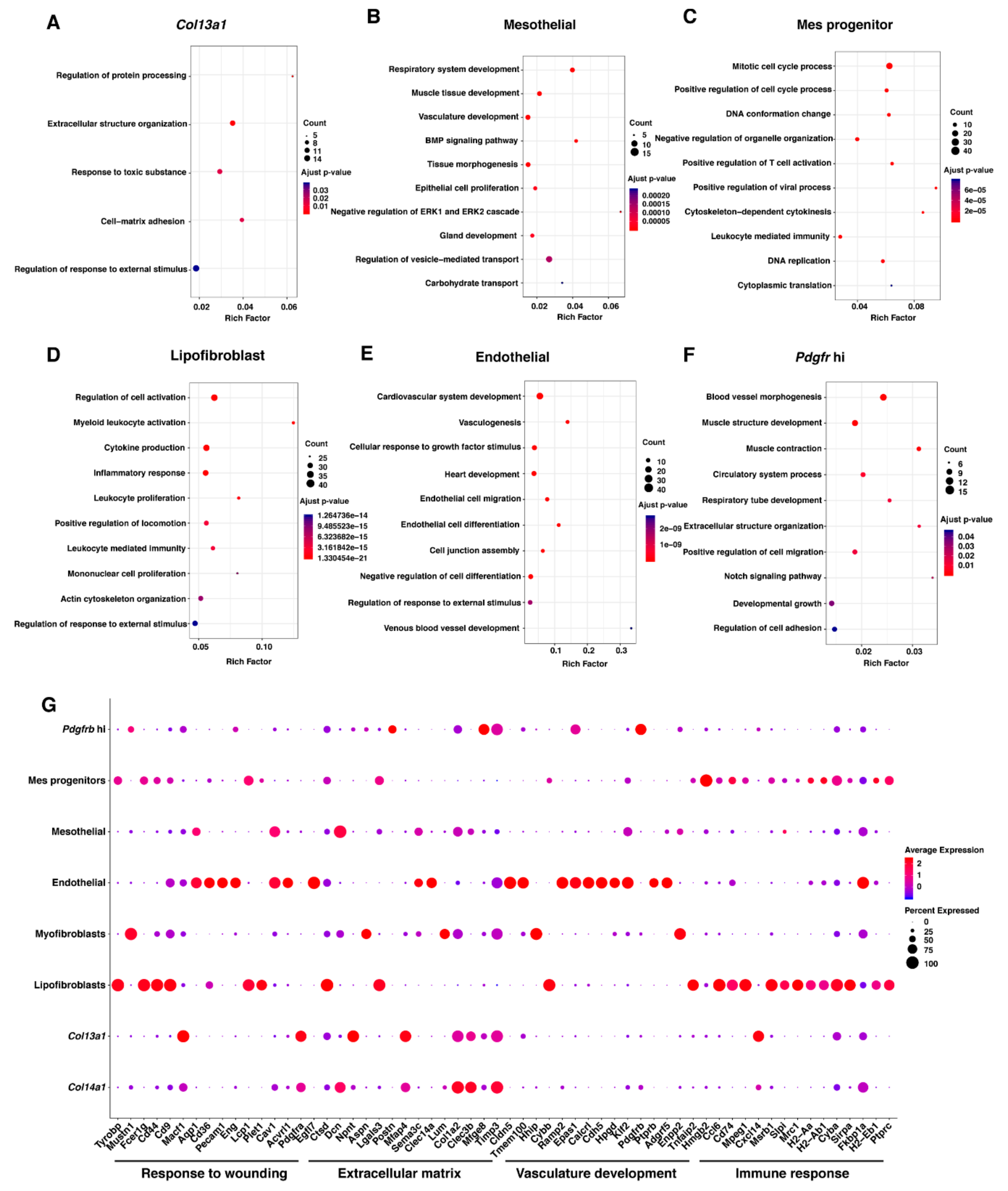 Ijms 21 01371 g005 Ijms 21 01371 g005