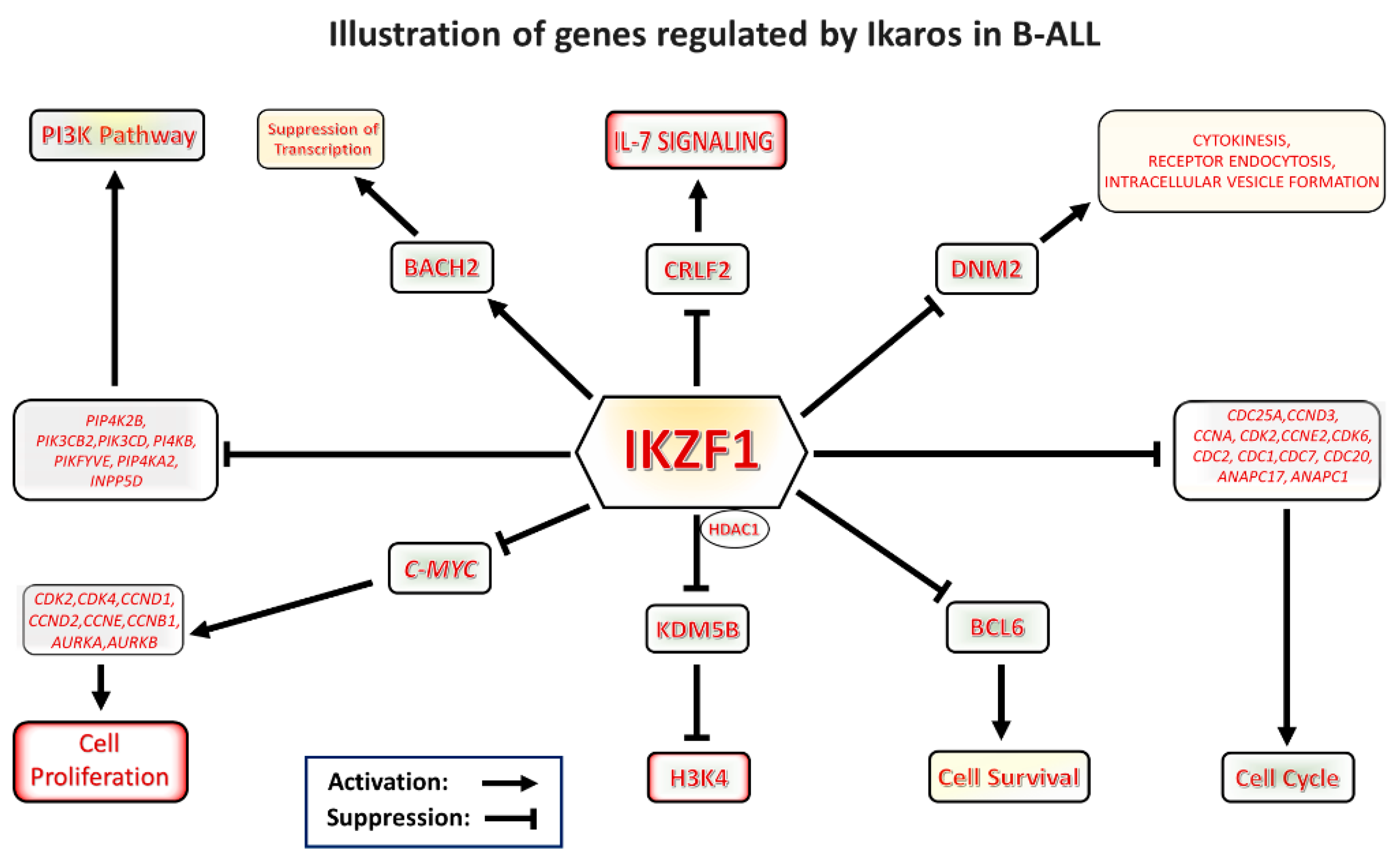 Ijms 21 01377 g002 Ijms 21 01377 g002