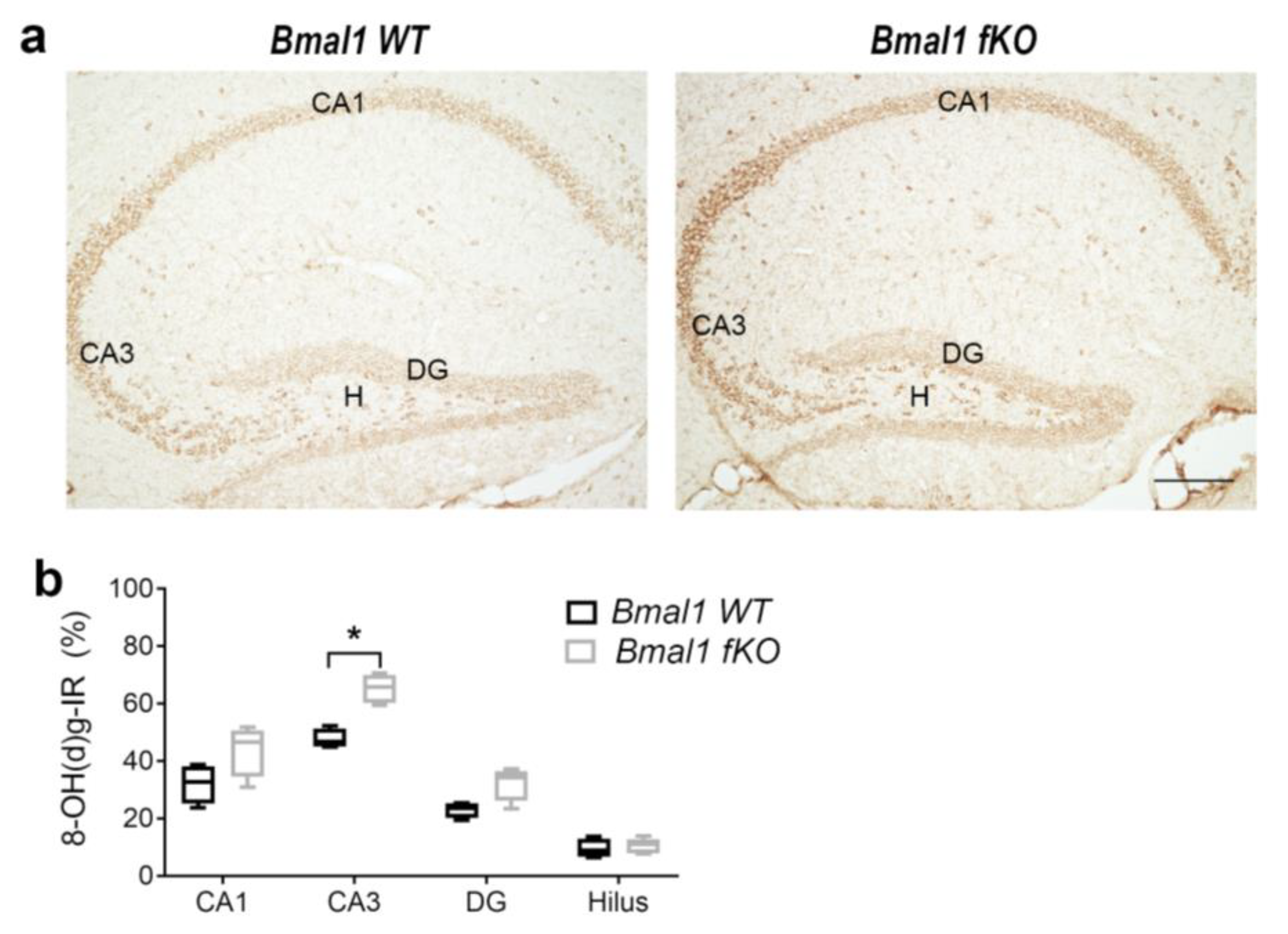 Ijms 21 01394 g001 Ijms 21 01394 g001