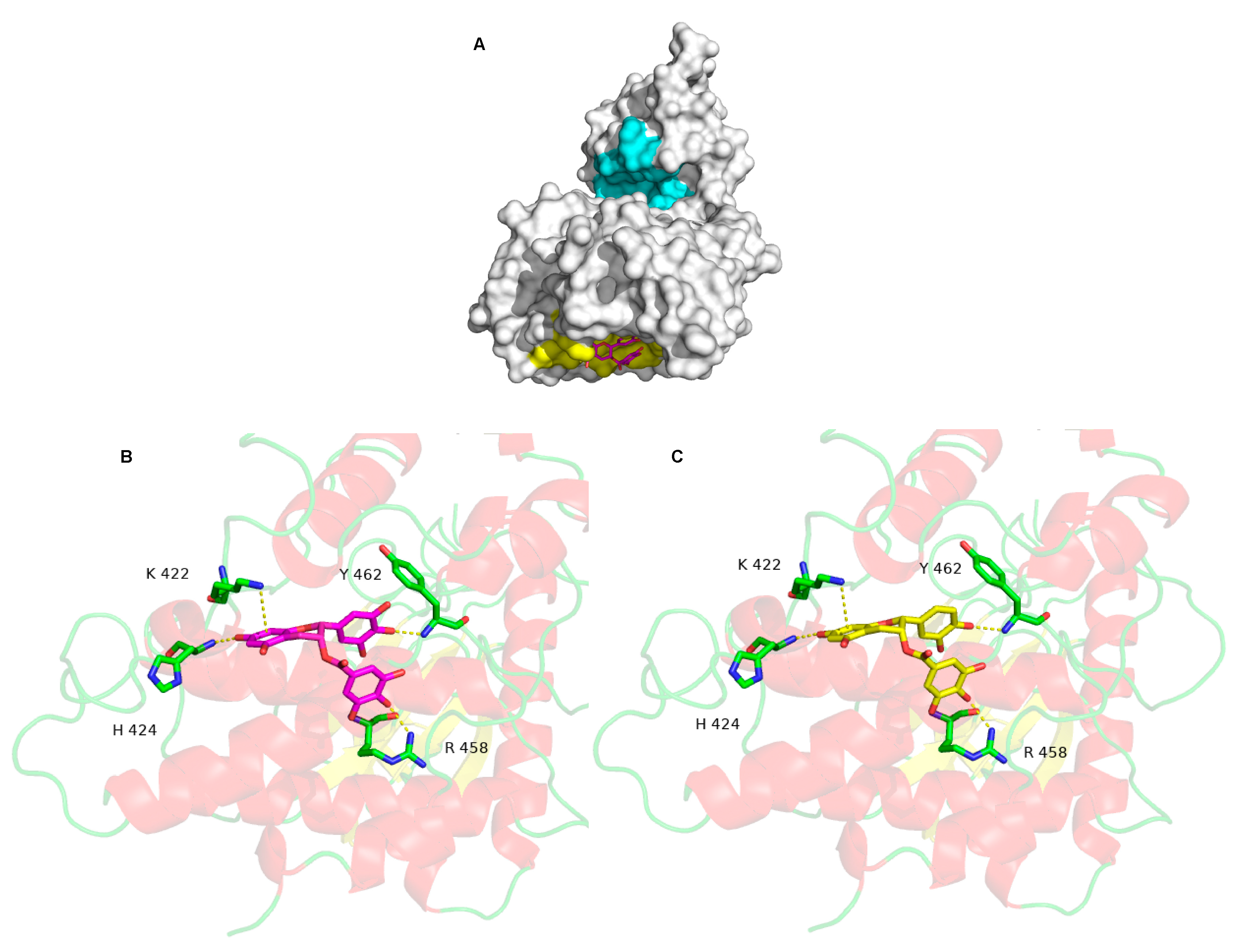 Ijms 21 01404 g002 Ijms 21 01404 g002