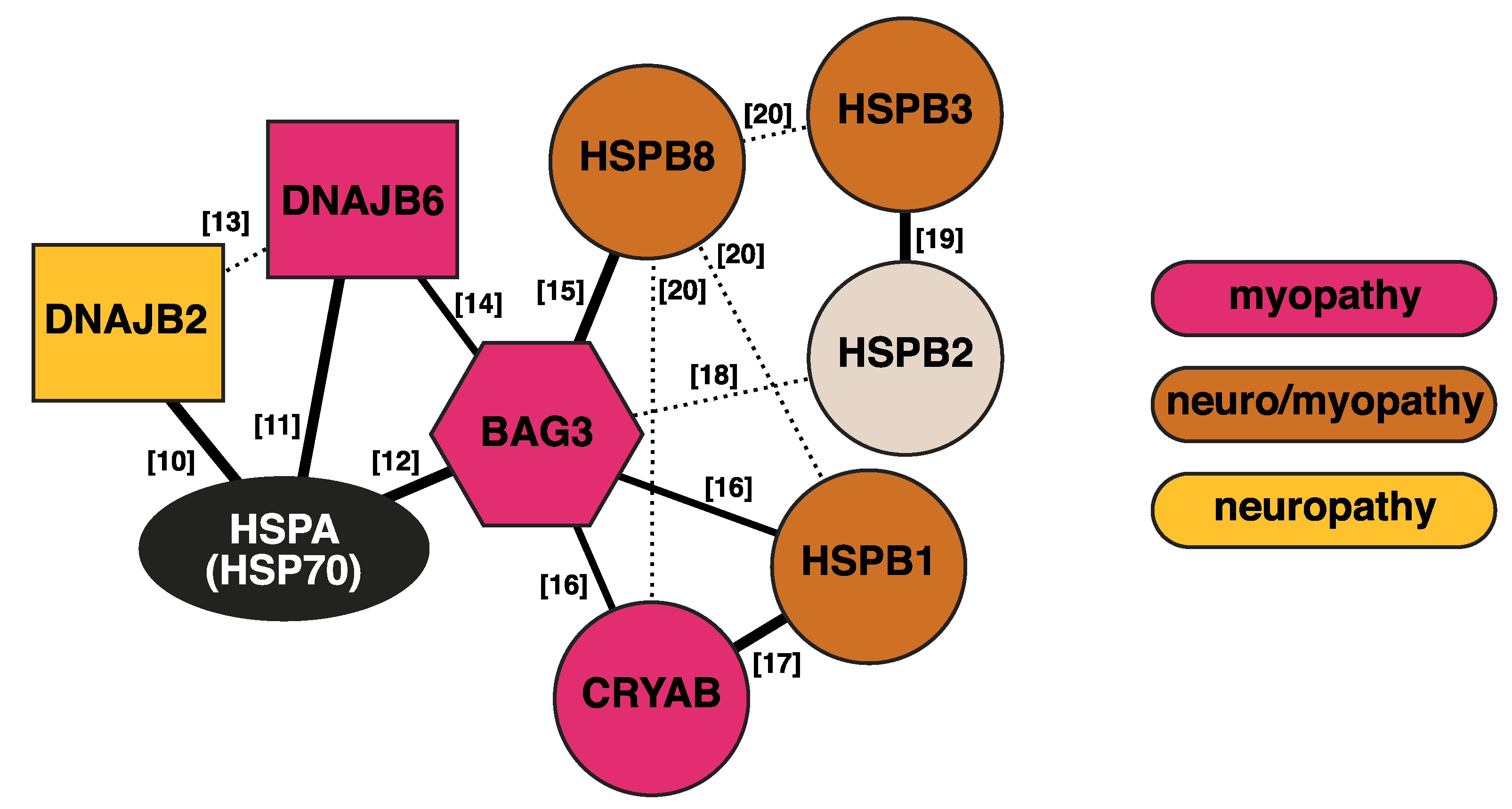 Ijms 21 01409 g001 Ijms 21 01409 g001