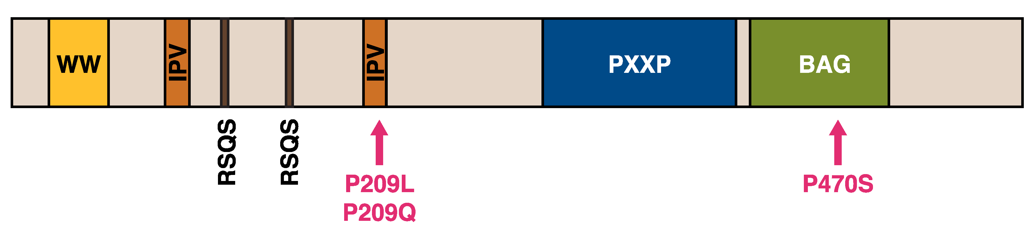 Ijms 21 01409 g006 Ijms 21 01409 g006