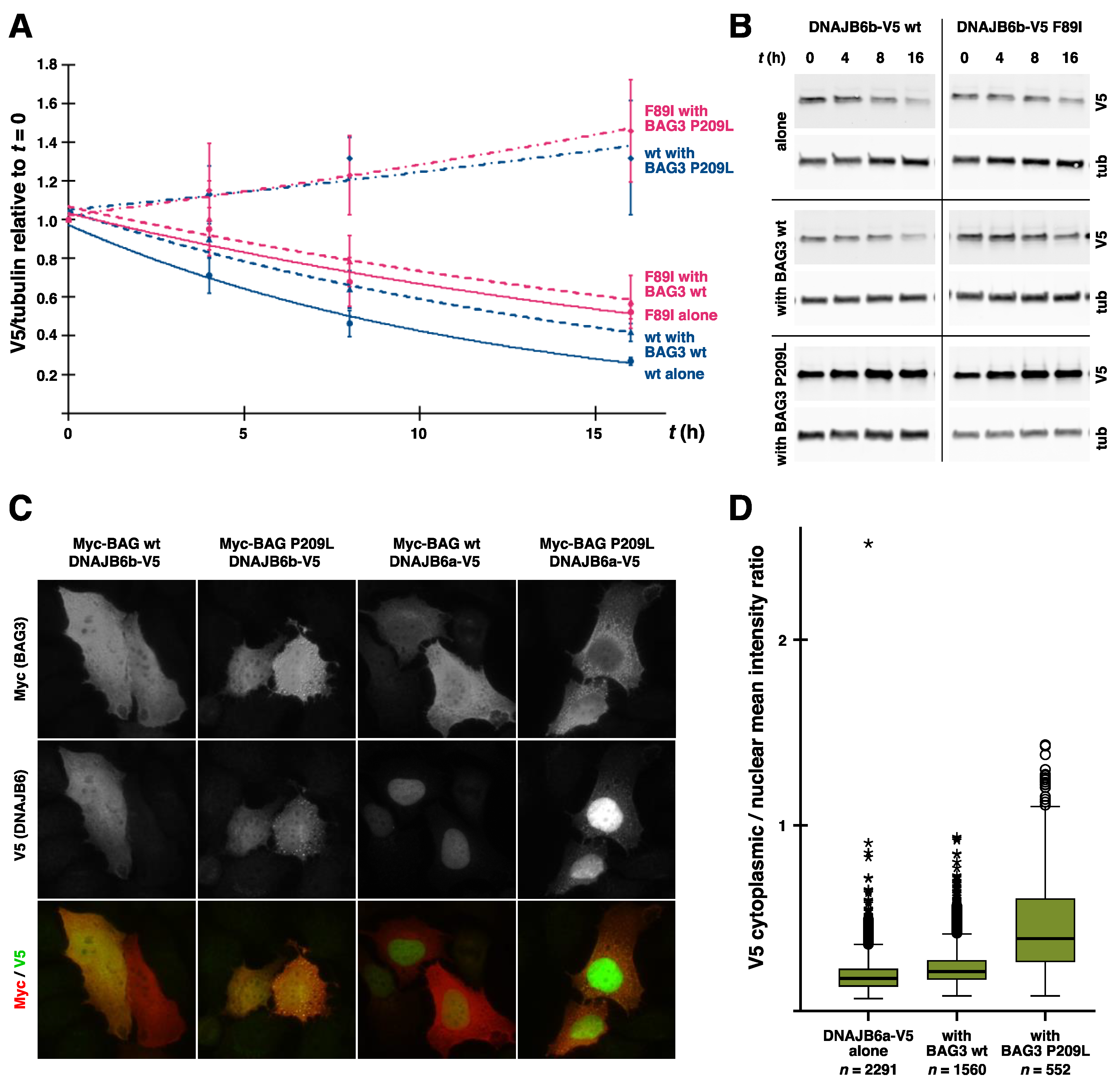 Ijms 21 01409 g007 Ijms 21 01409 g007