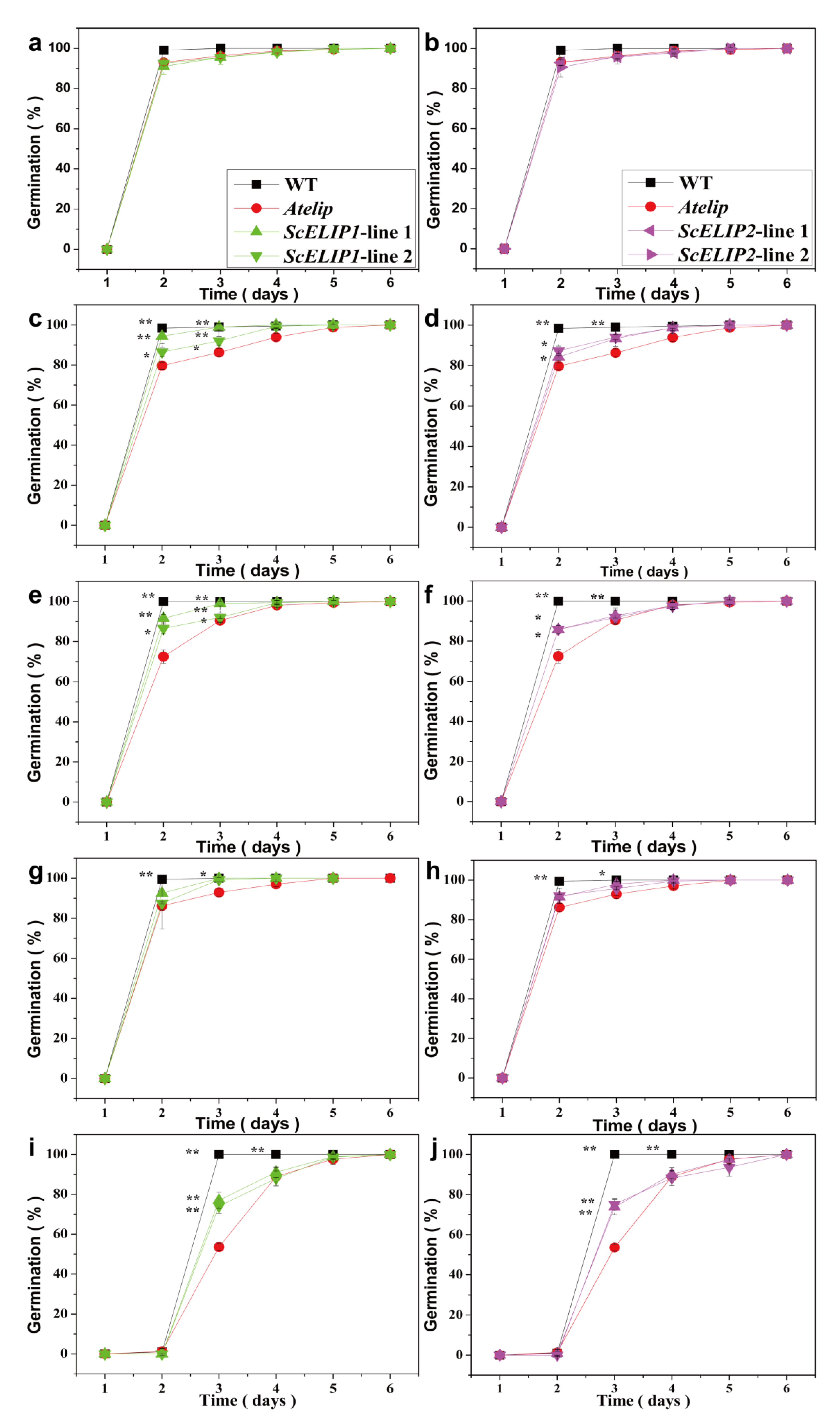 Ijms 21 01411 g003 Ijms 21 01411 g003