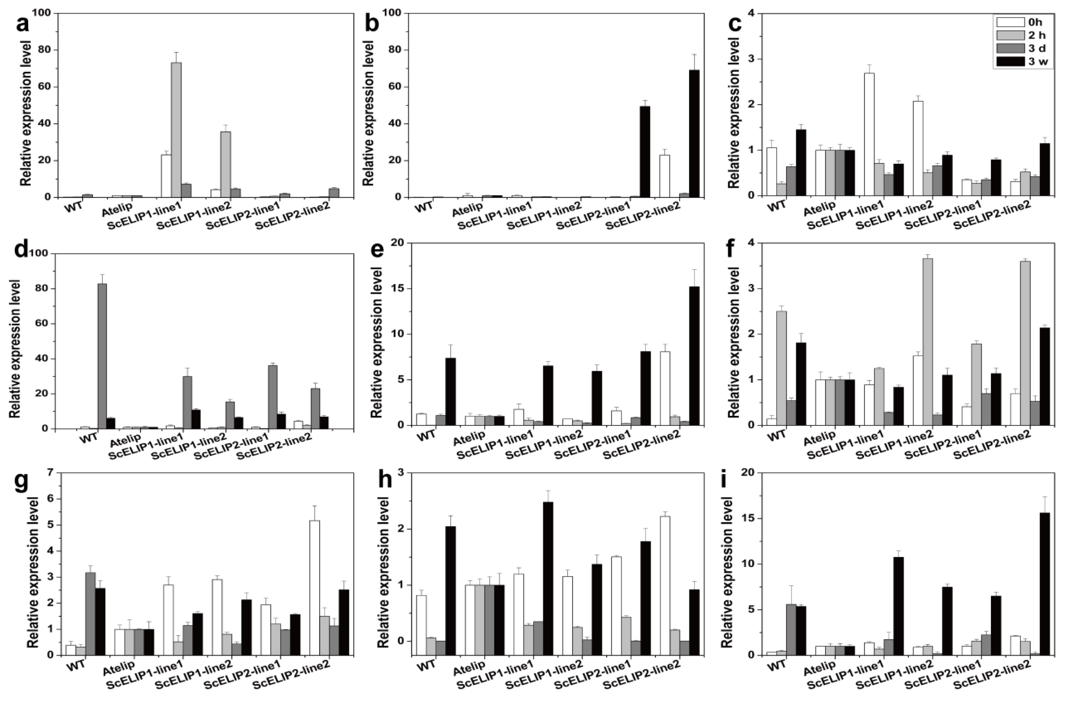 Ijms 21 01411 g008 Ijms 21 01411 g008