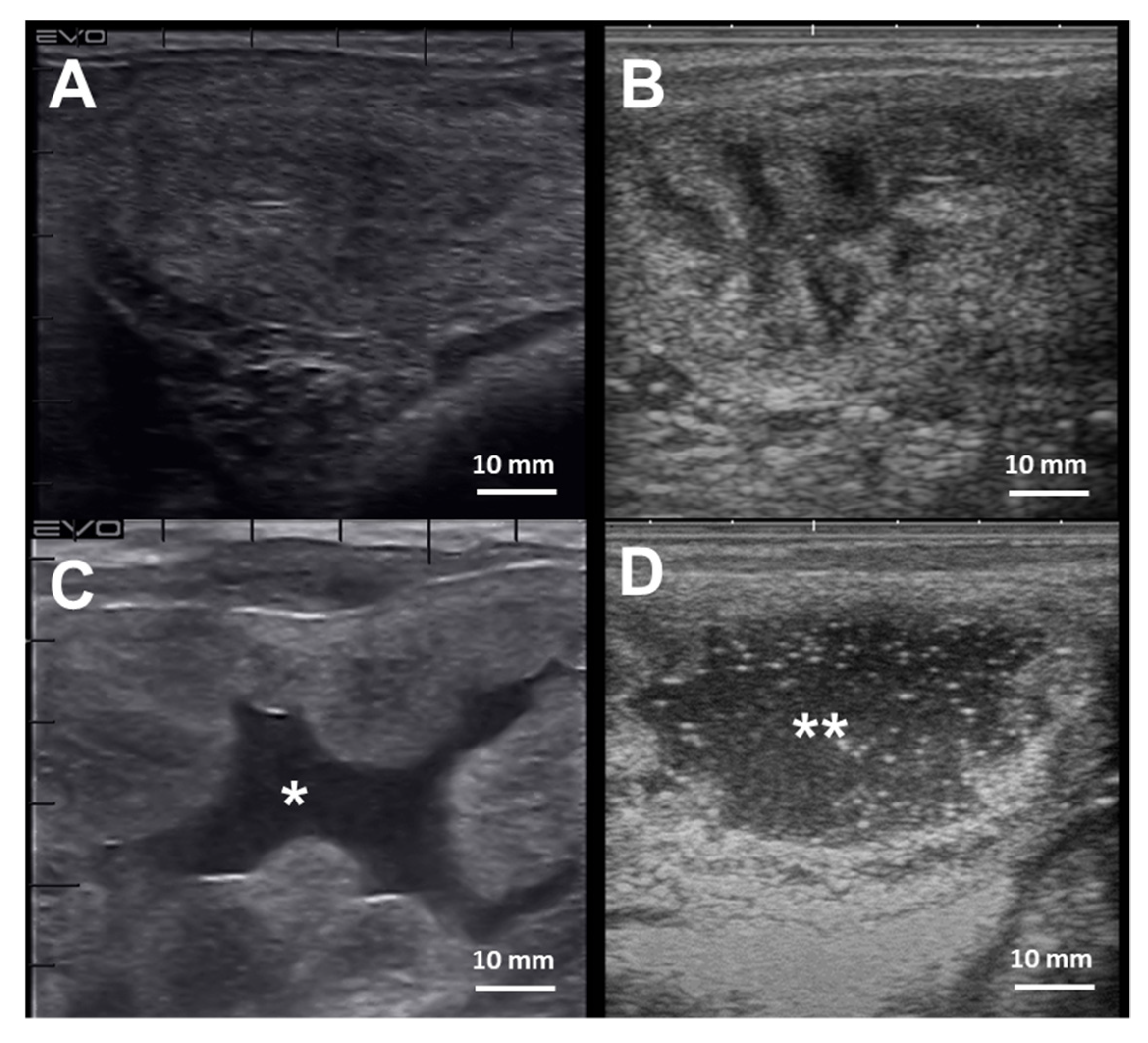 Ijms 21 01432 g004 Ijms 21 01432 g004