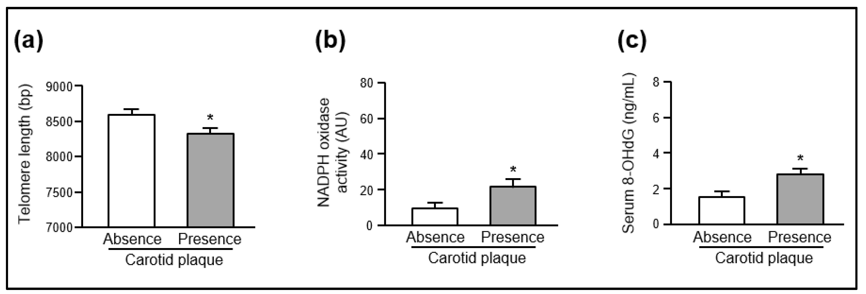Ijms 21 01434 g001 Ijms 21 01434 g001