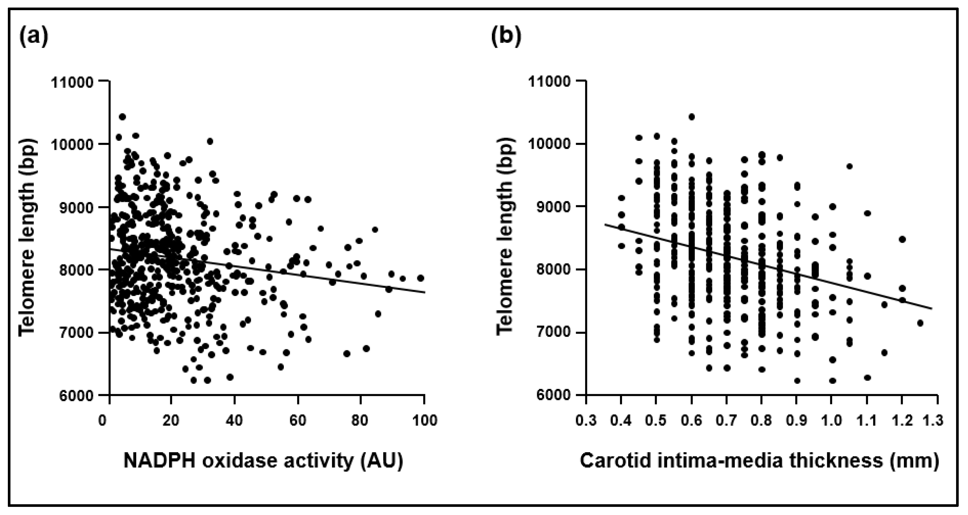 Ijms 21 01434 g002 Ijms 21 01434 g002