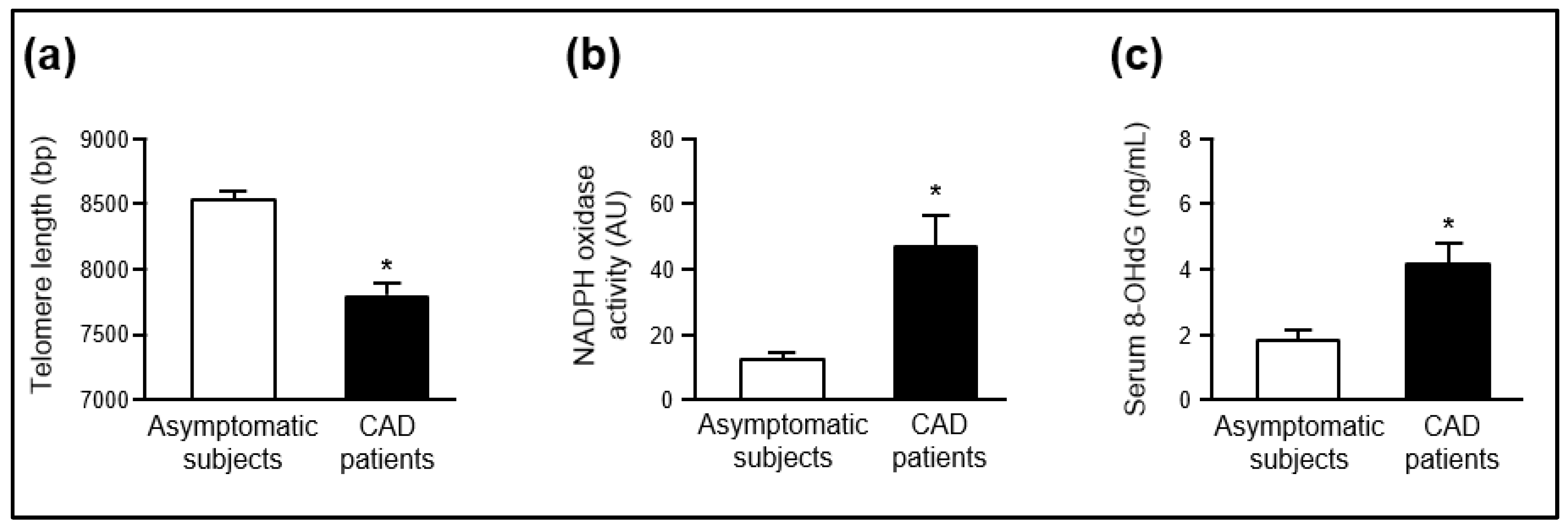 Ijms 21 01434 g003 Ijms 21 01434 g003