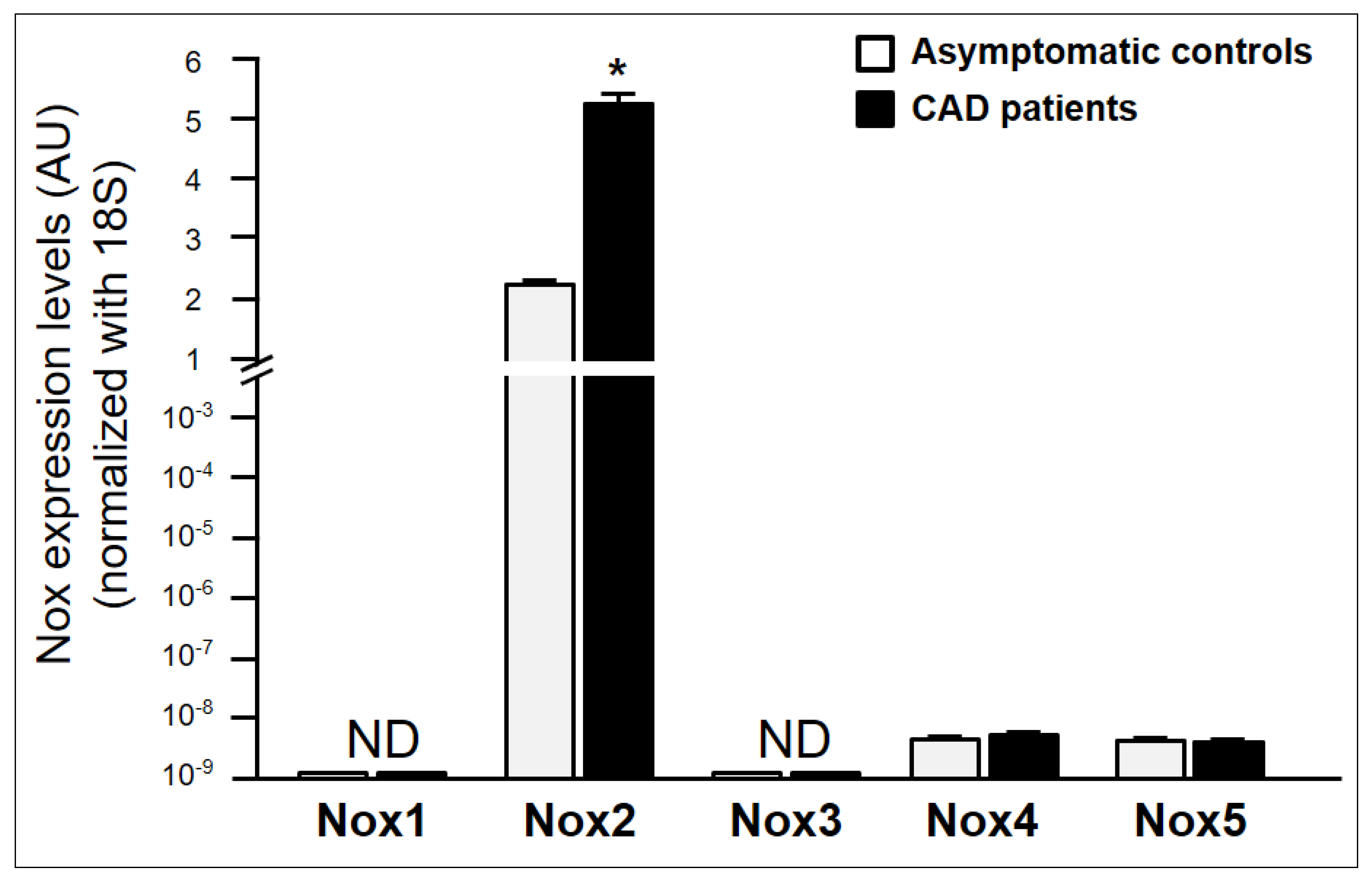 Ijms 21 01434 g004 Ijms 21 01434 g004