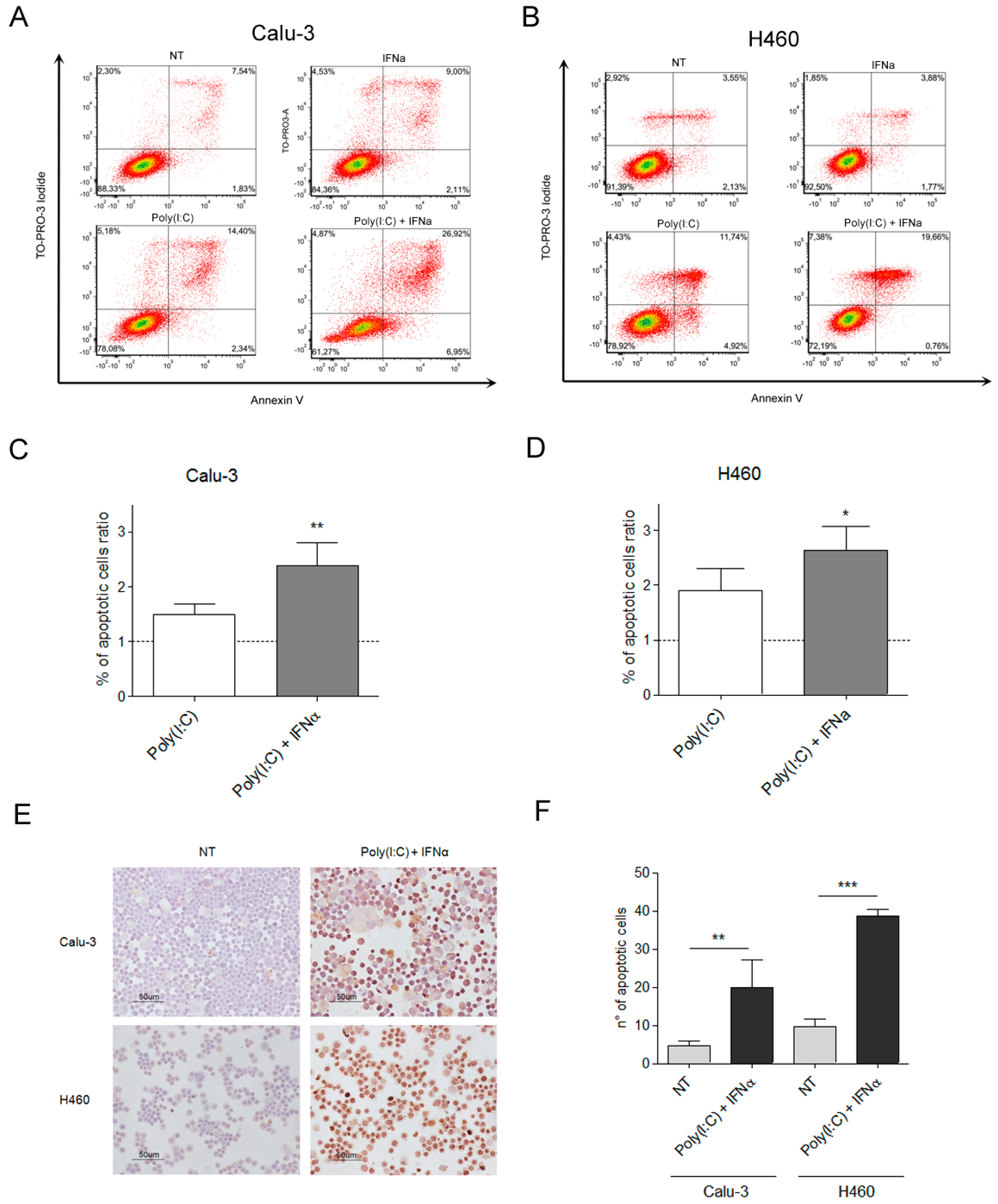 Ijms 21 01440 g001 Ijms 21 01440 g001