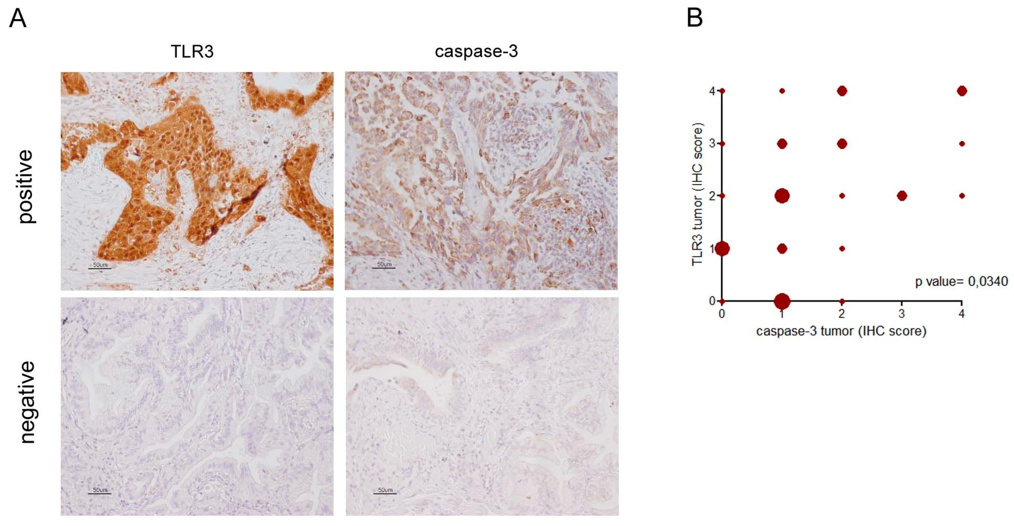 Ijms 21 01440 g002 Ijms 21 01440 g002