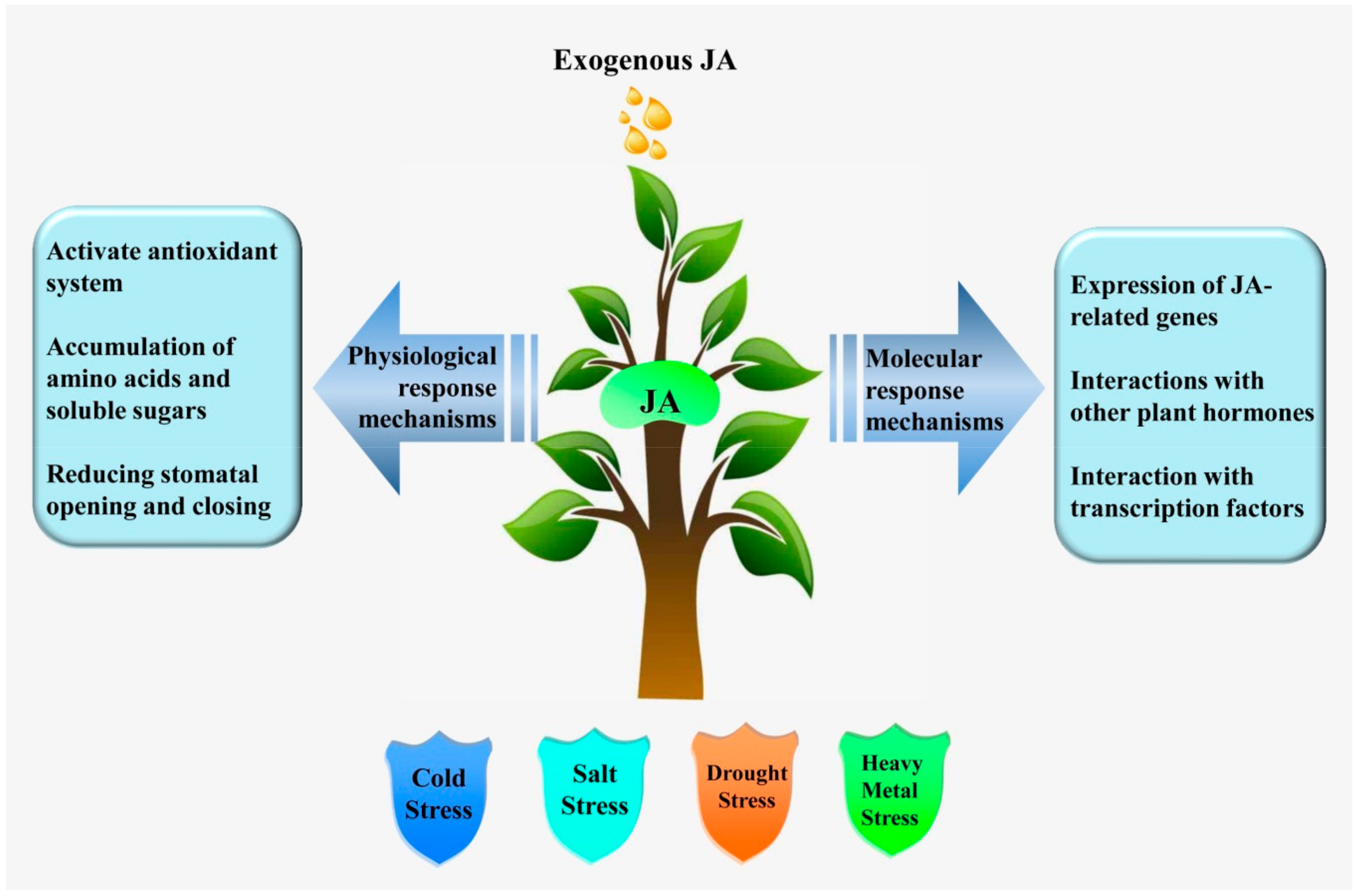 Ijms 21 01446 g001 Ijms 21 01446 g001