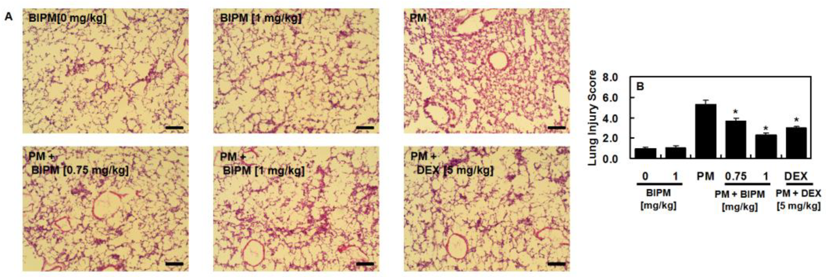 Ijms 21 01462 g003 Ijms 21 01462 g003