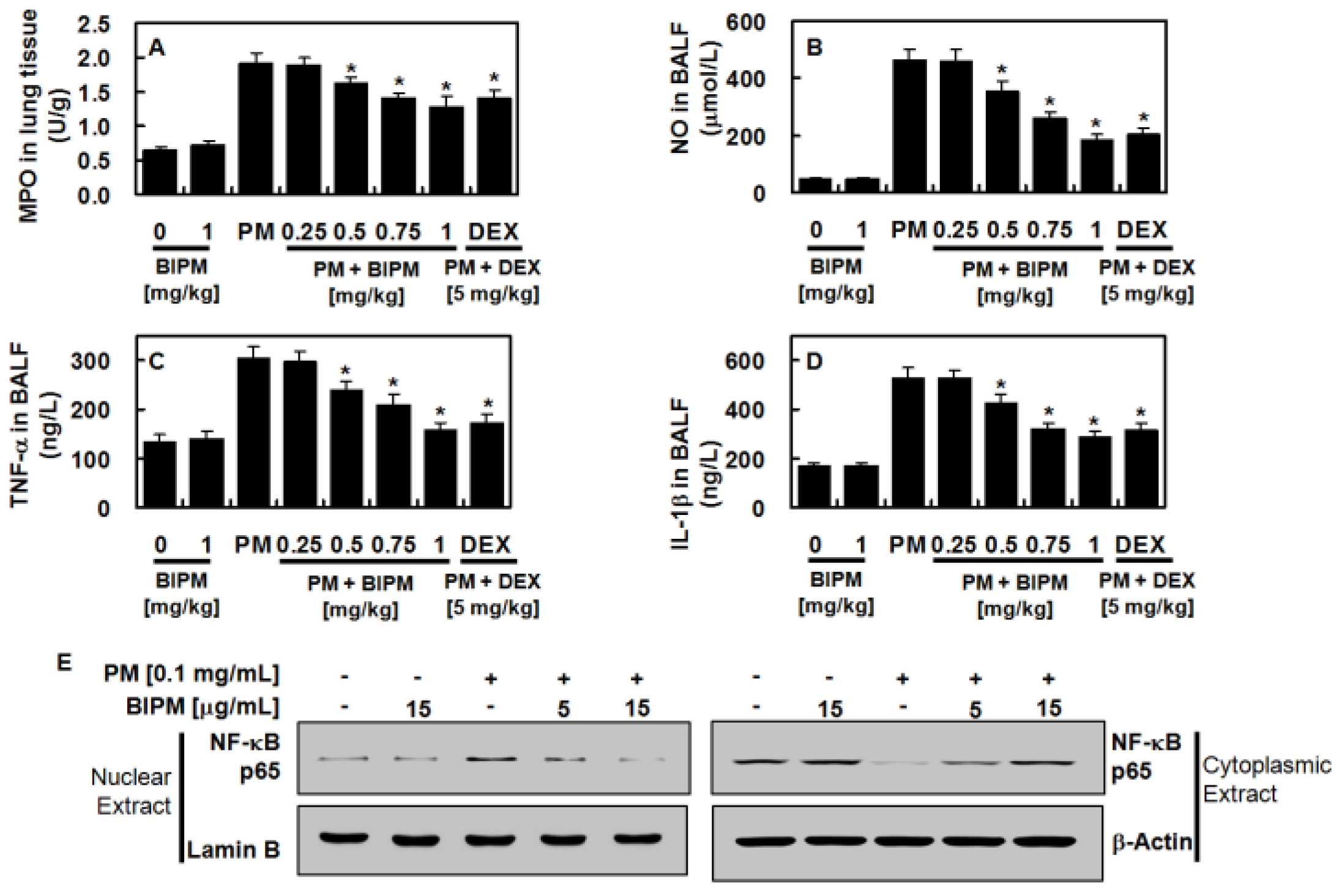 Ijms 21 01462 g005 Ijms 21 01462 g005
