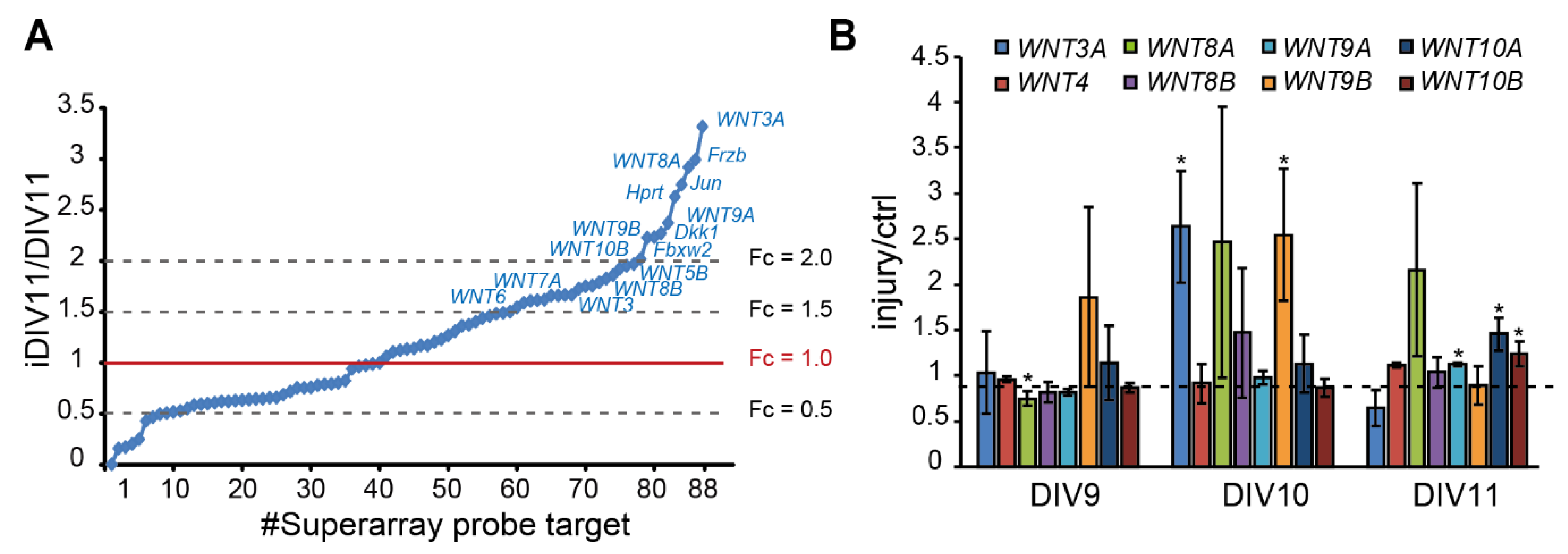 Ijms 21 01463 g002 Ijms 21 01463 g002