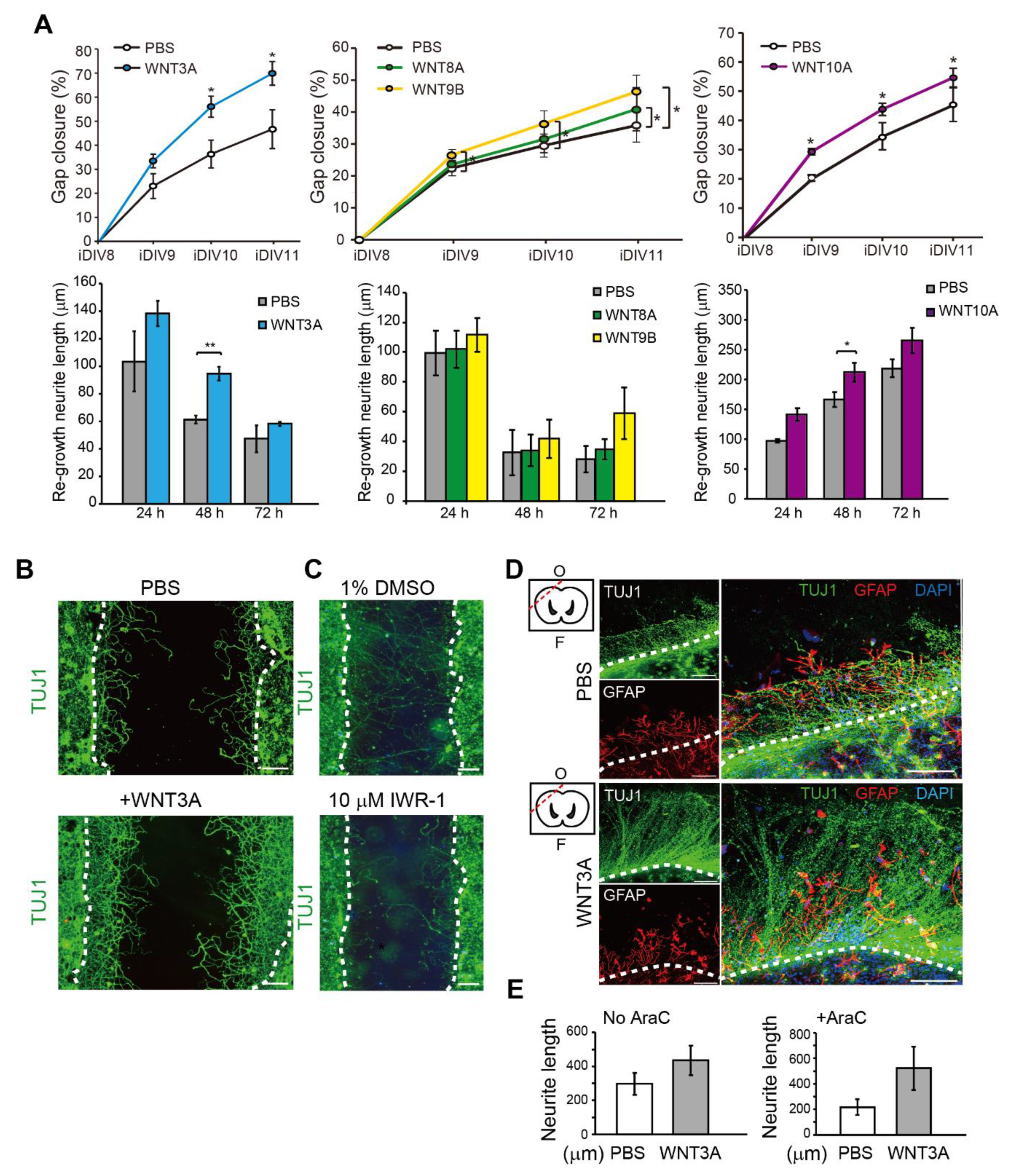 Ijms 21 01463 g003 Ijms 21 01463 g003