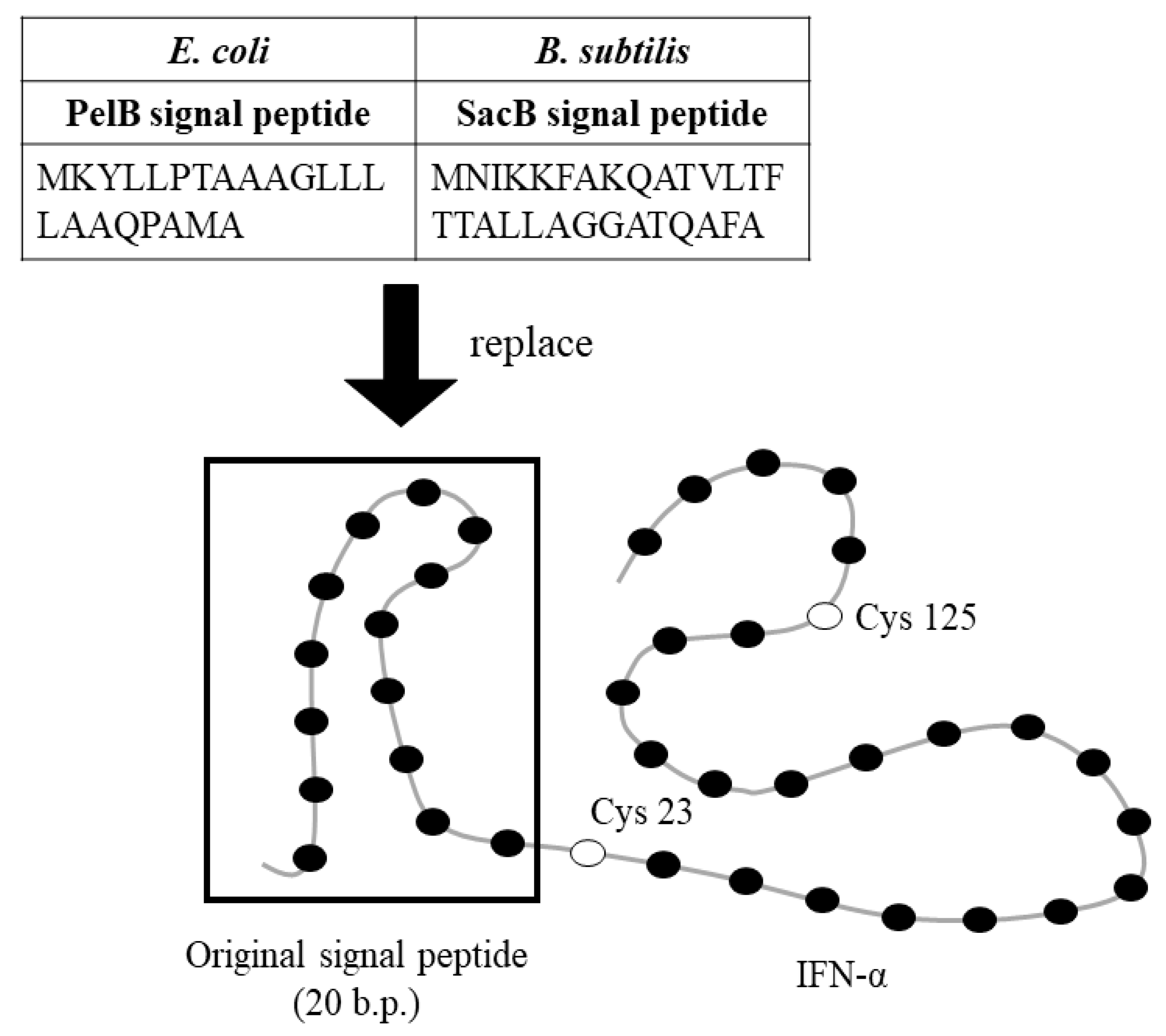 Ijms 21 01465 g003 Ijms 21 01465 g003