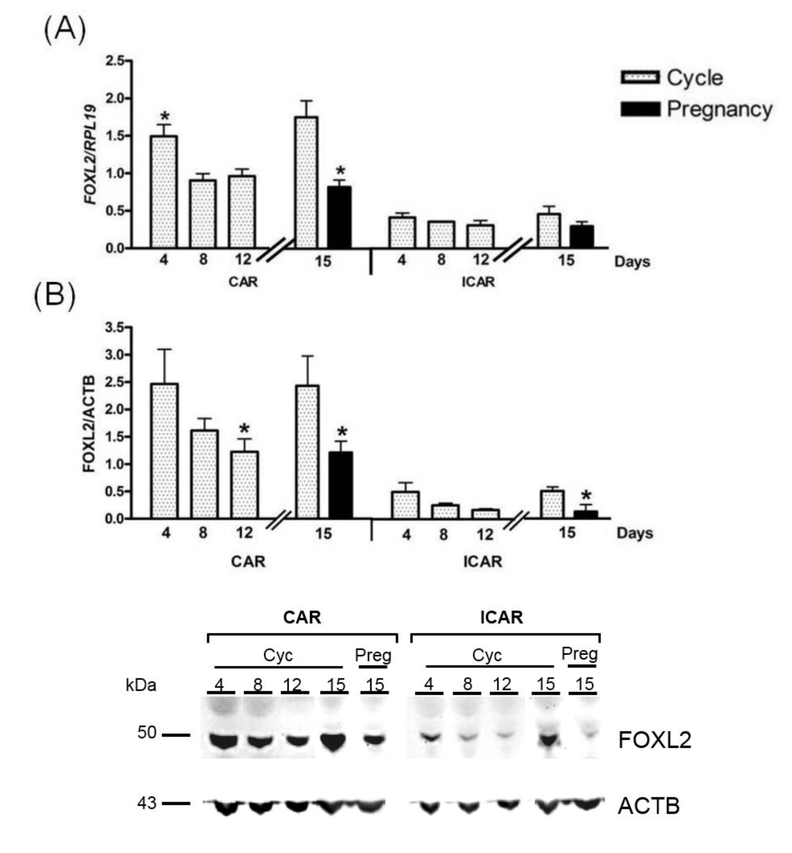 Ijms 21 01478 g001 Ijms 21 01478 g001