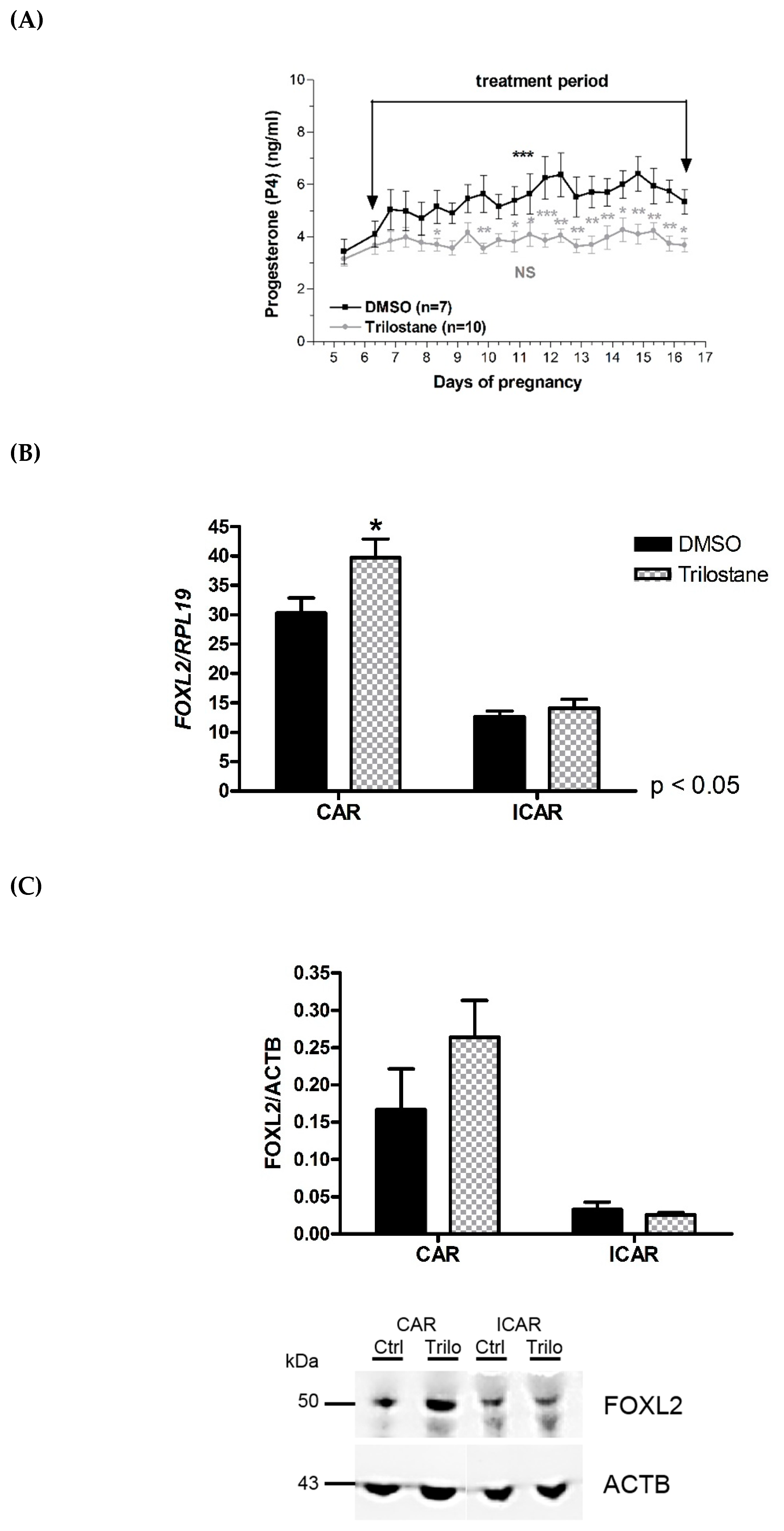 Ijms 21 01478 g002 Ijms 21 01478 g002