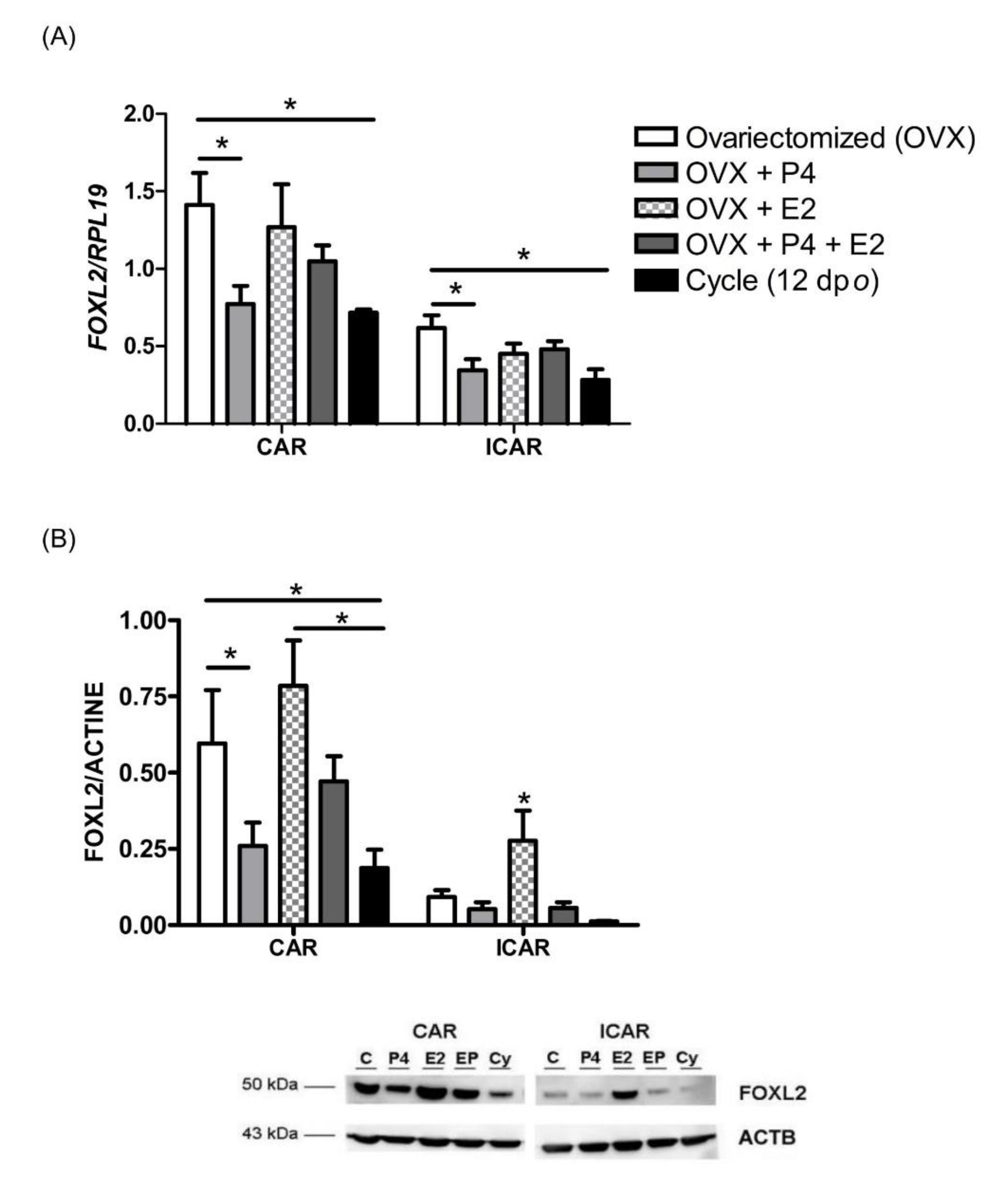 Ijms 21 01478 g003 Ijms 21 01478 g003