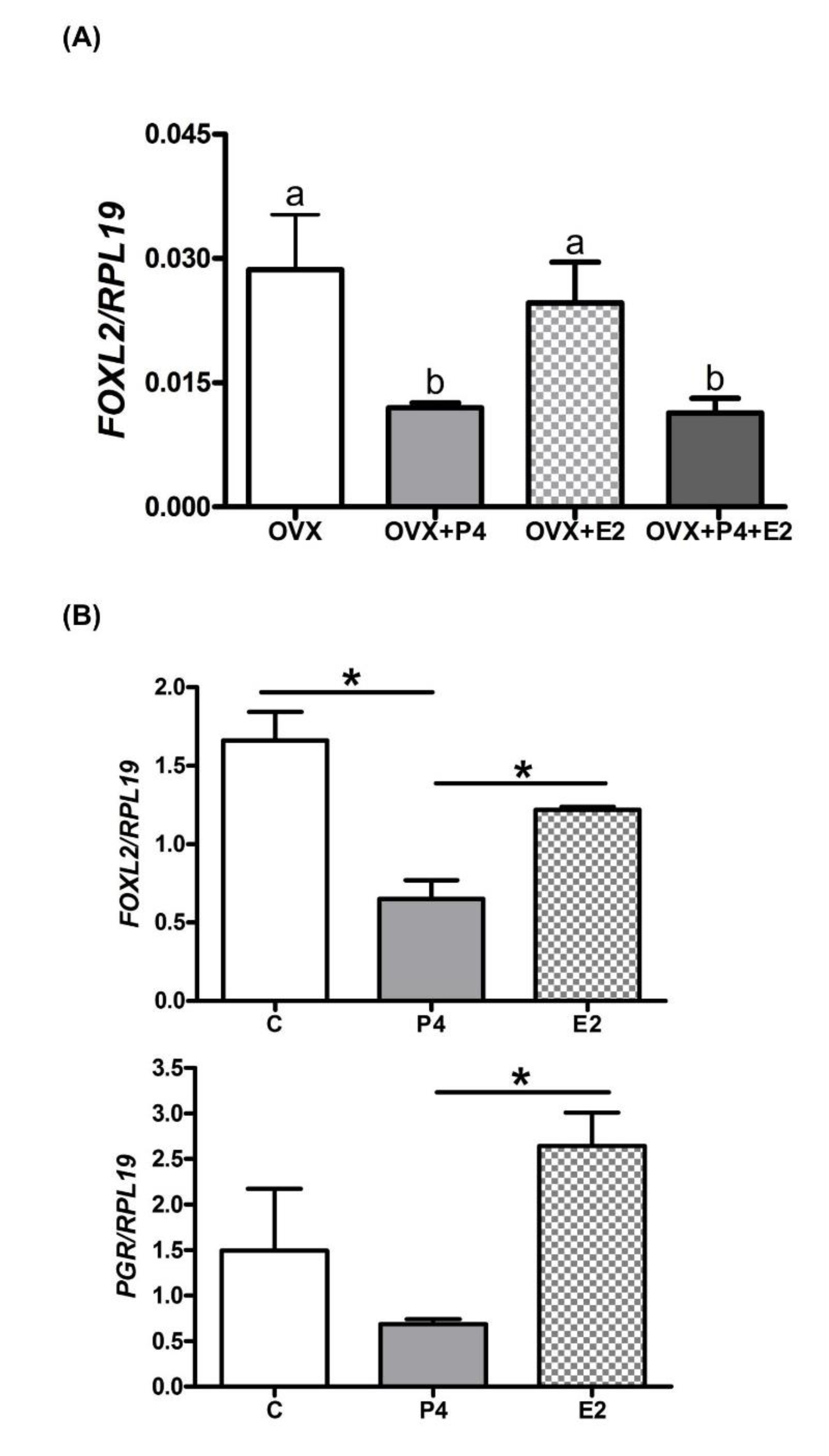 Ijms 21 01478 g004 Ijms 21 01478 g004