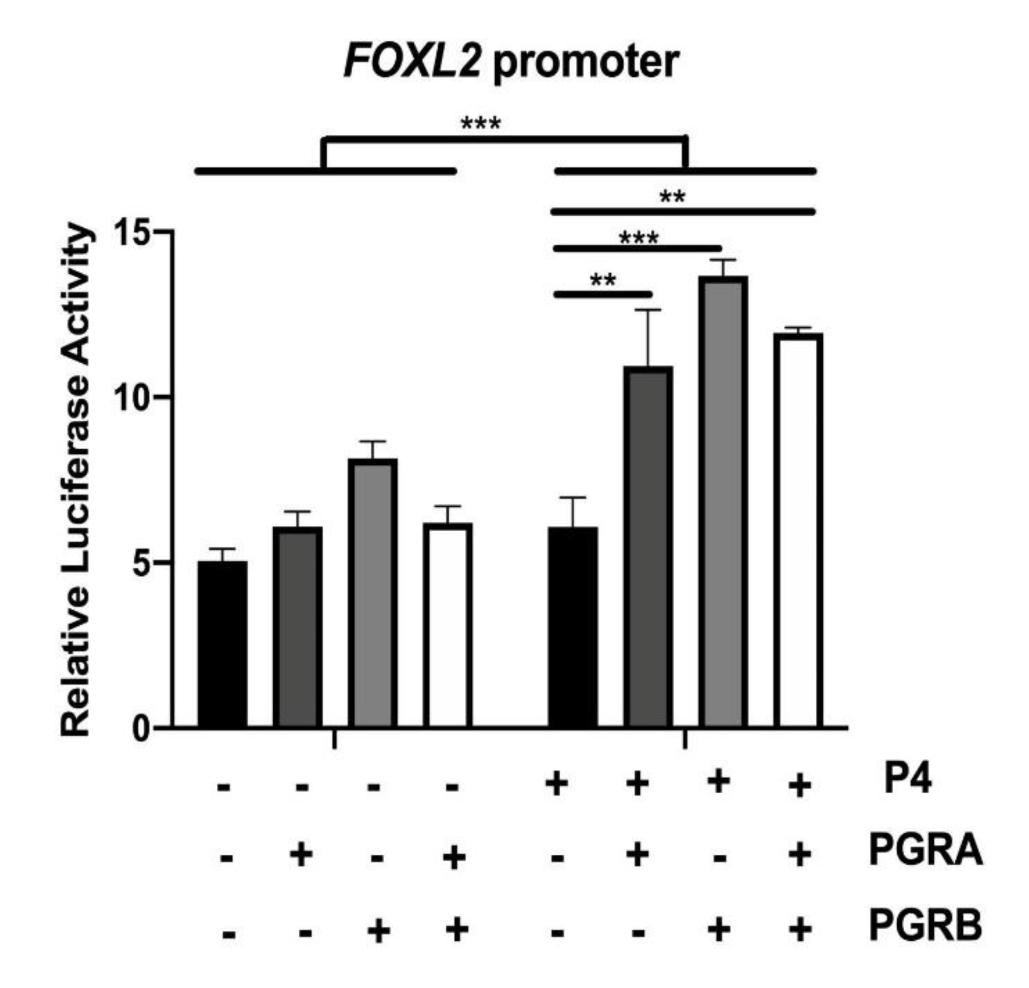 Ijms 21 01478 g005 Ijms 21 01478 g005