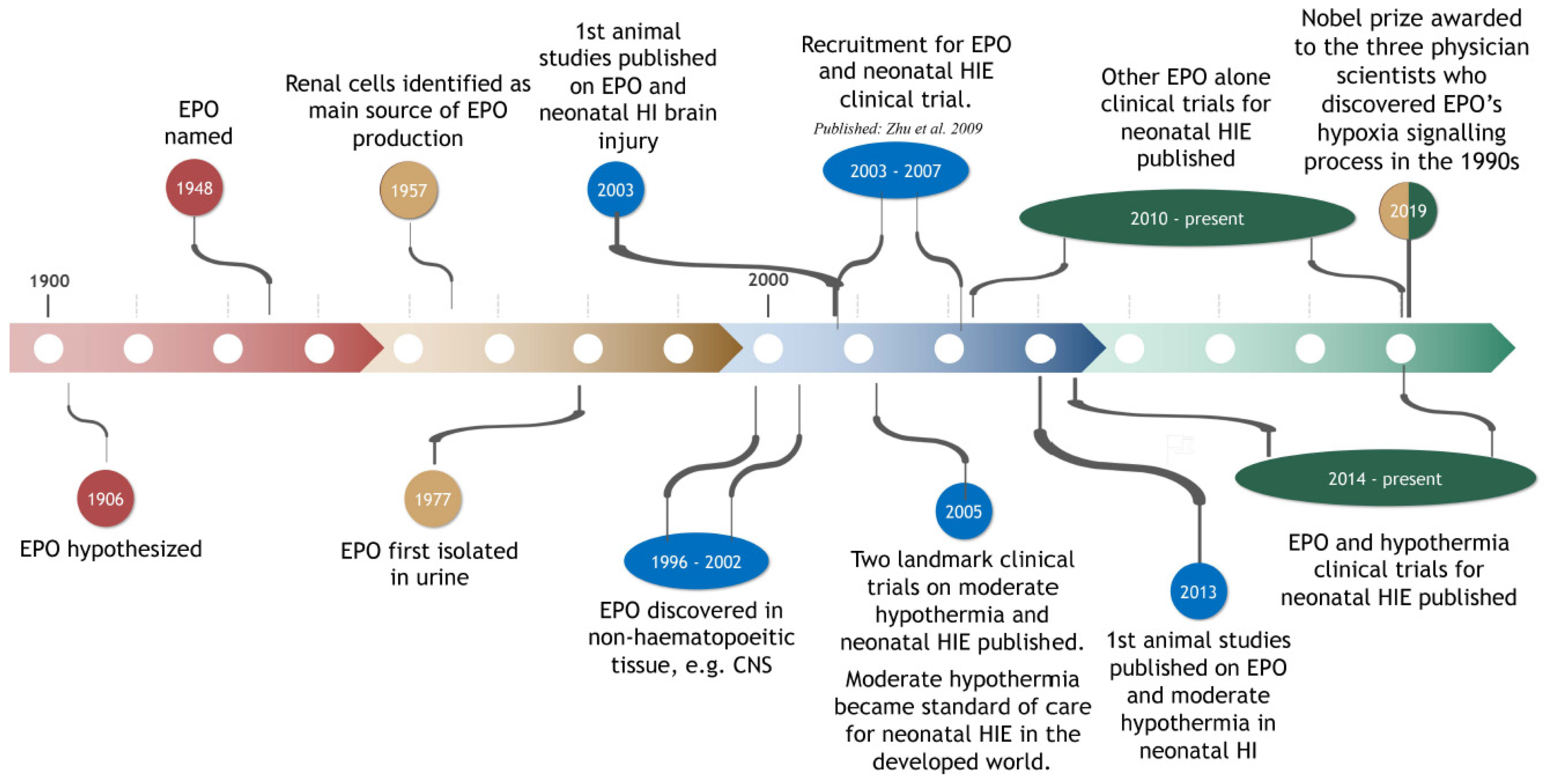 Ijms 21 01487 g001 Ijms 21 01487 g001