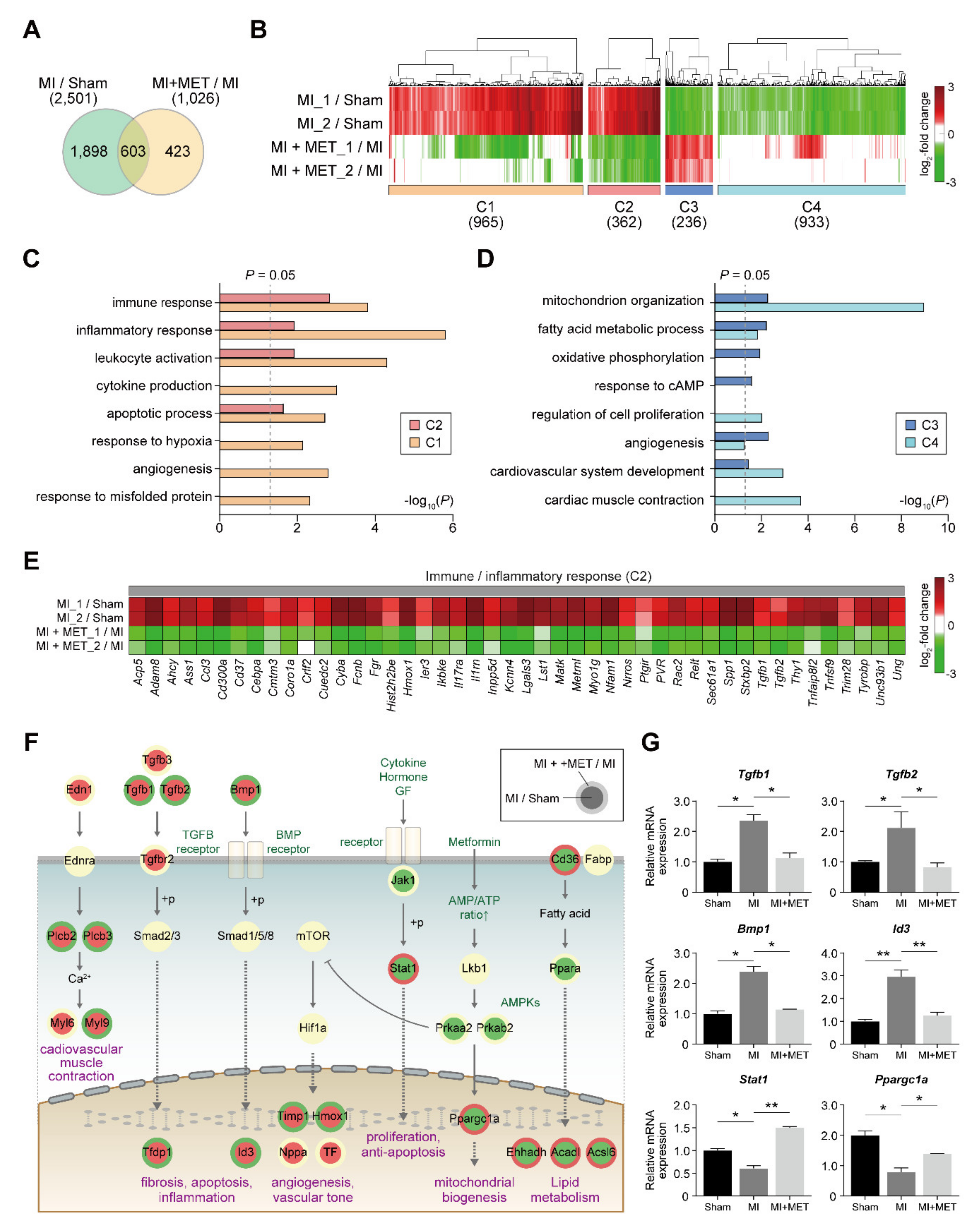 Ijms 21 01489 g004 Ijms 21 01489 g004